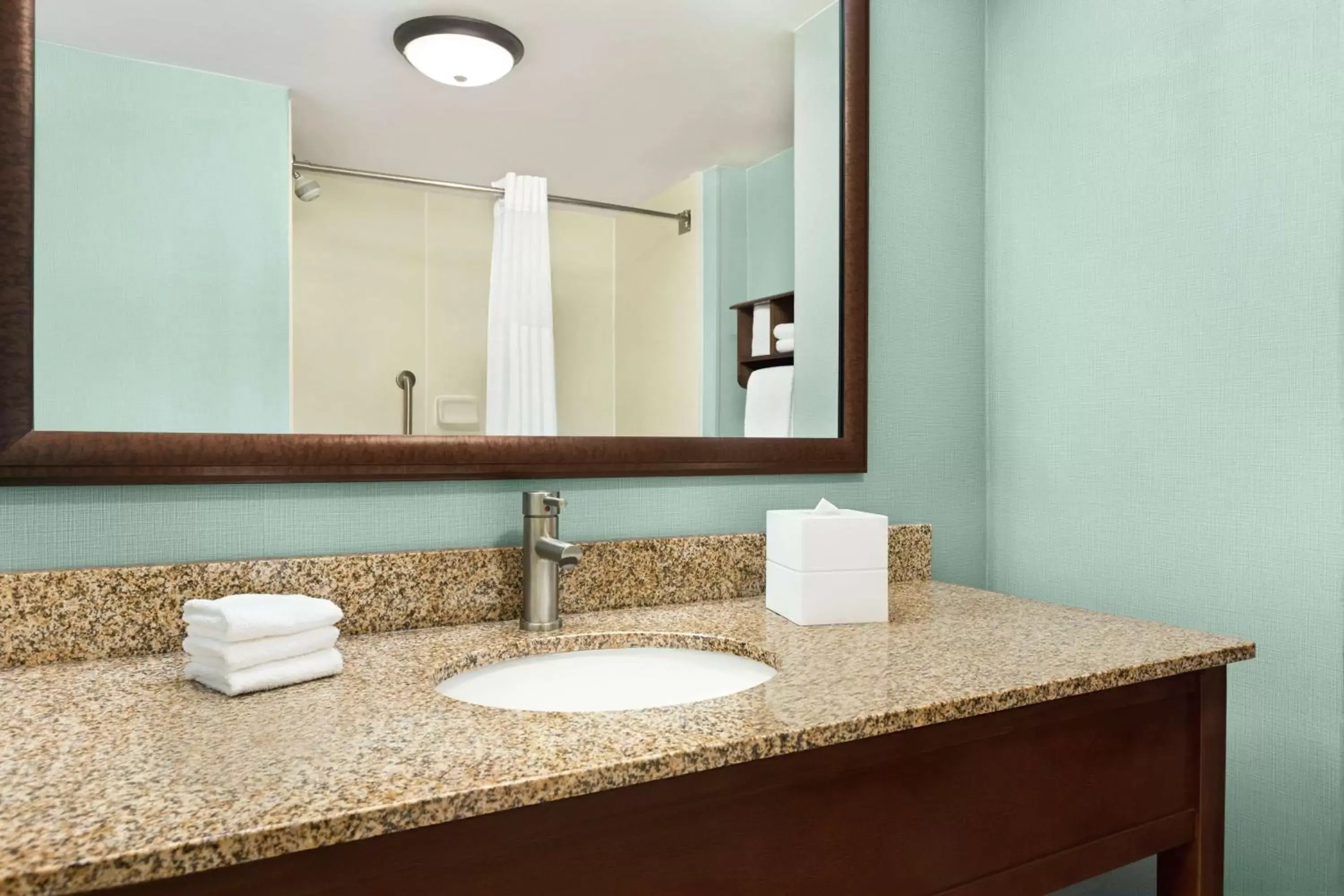 Bathroom in Hampton Inn & Suites Outer Banks/Corolla