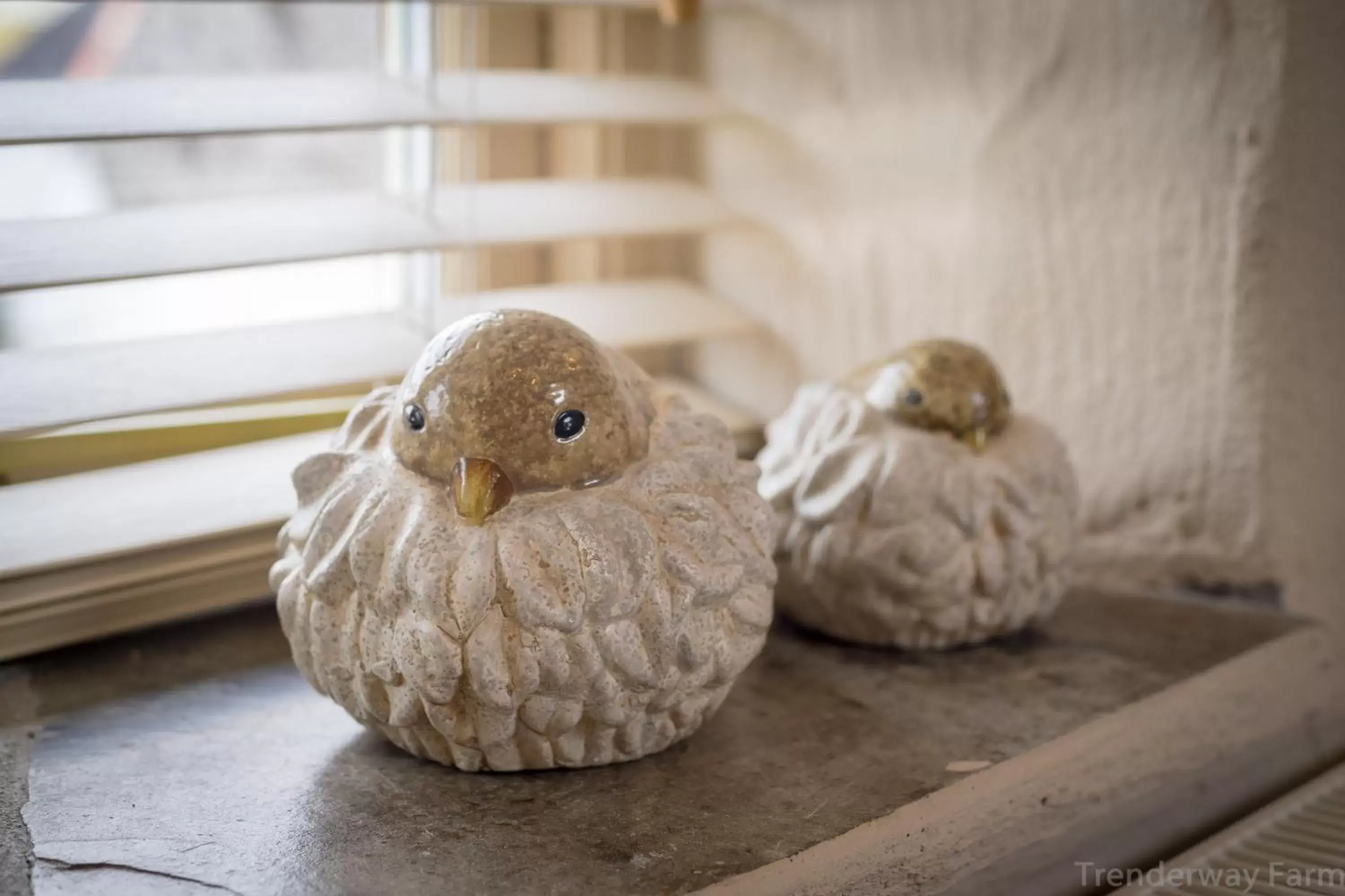 Decorative detail, Other Animals in Trenderway Farm