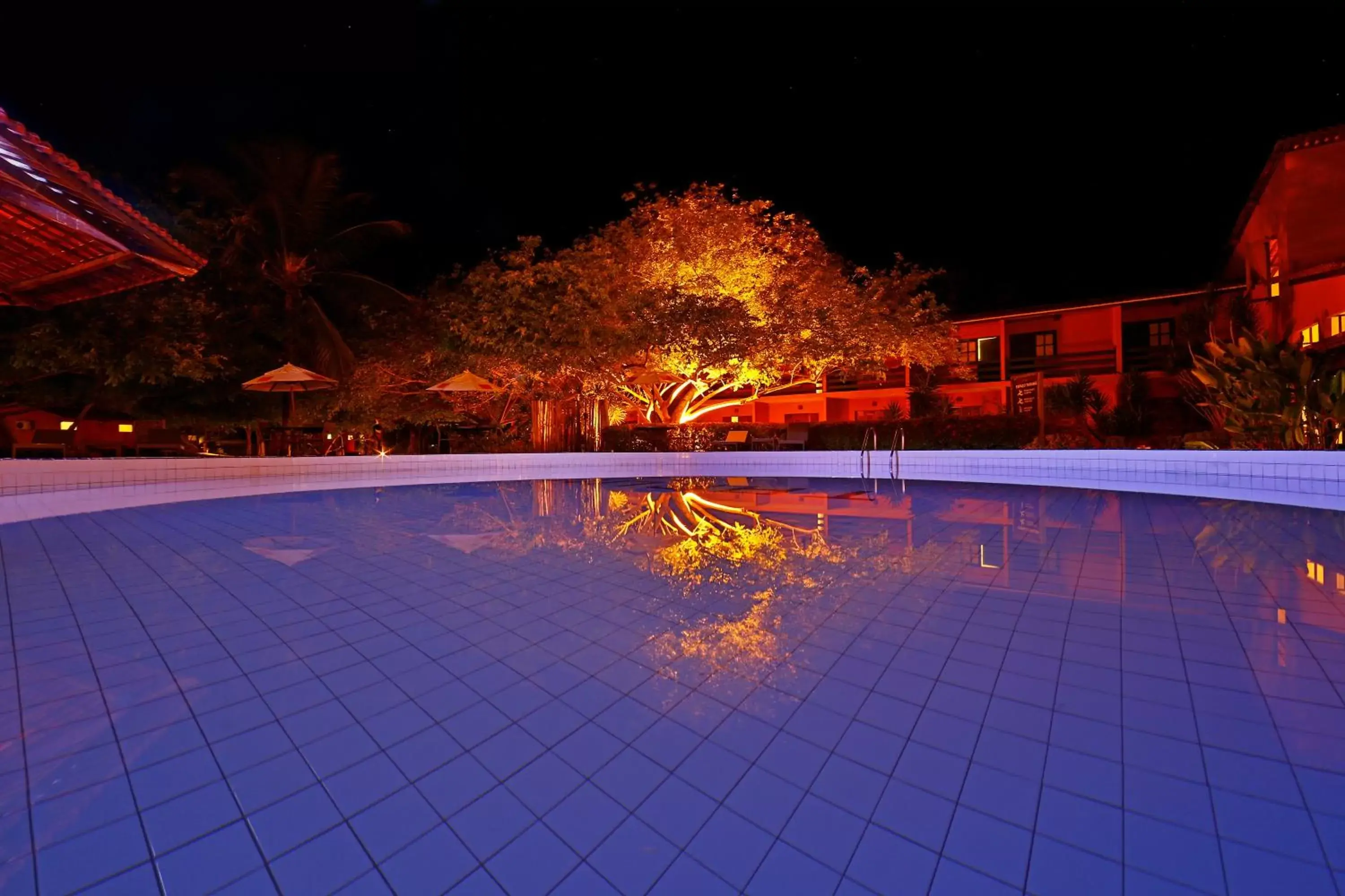 Swimming Pool in Anga Hotel