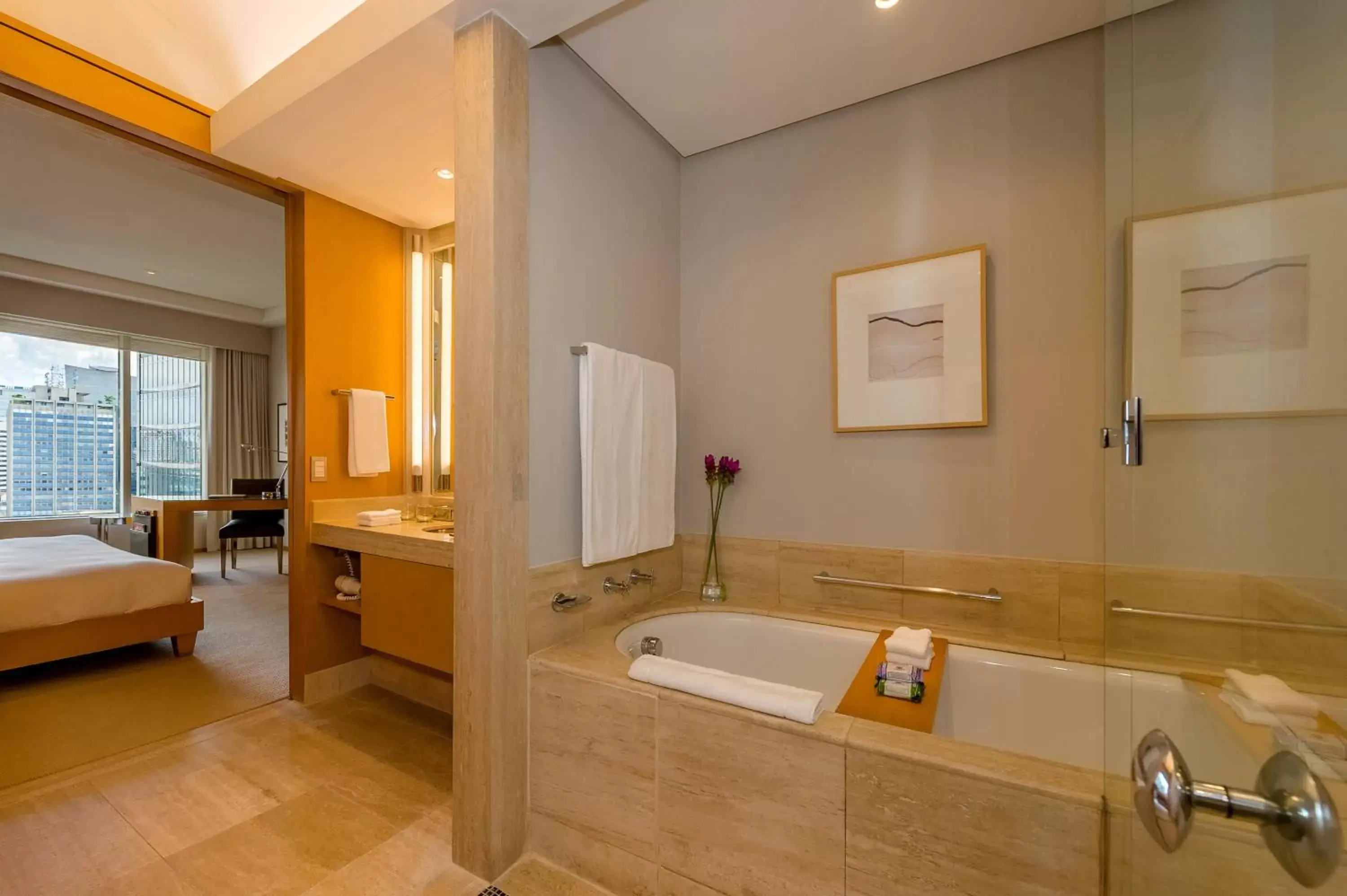 Hot Tub, Bathroom in Grand Hyatt São Paulo