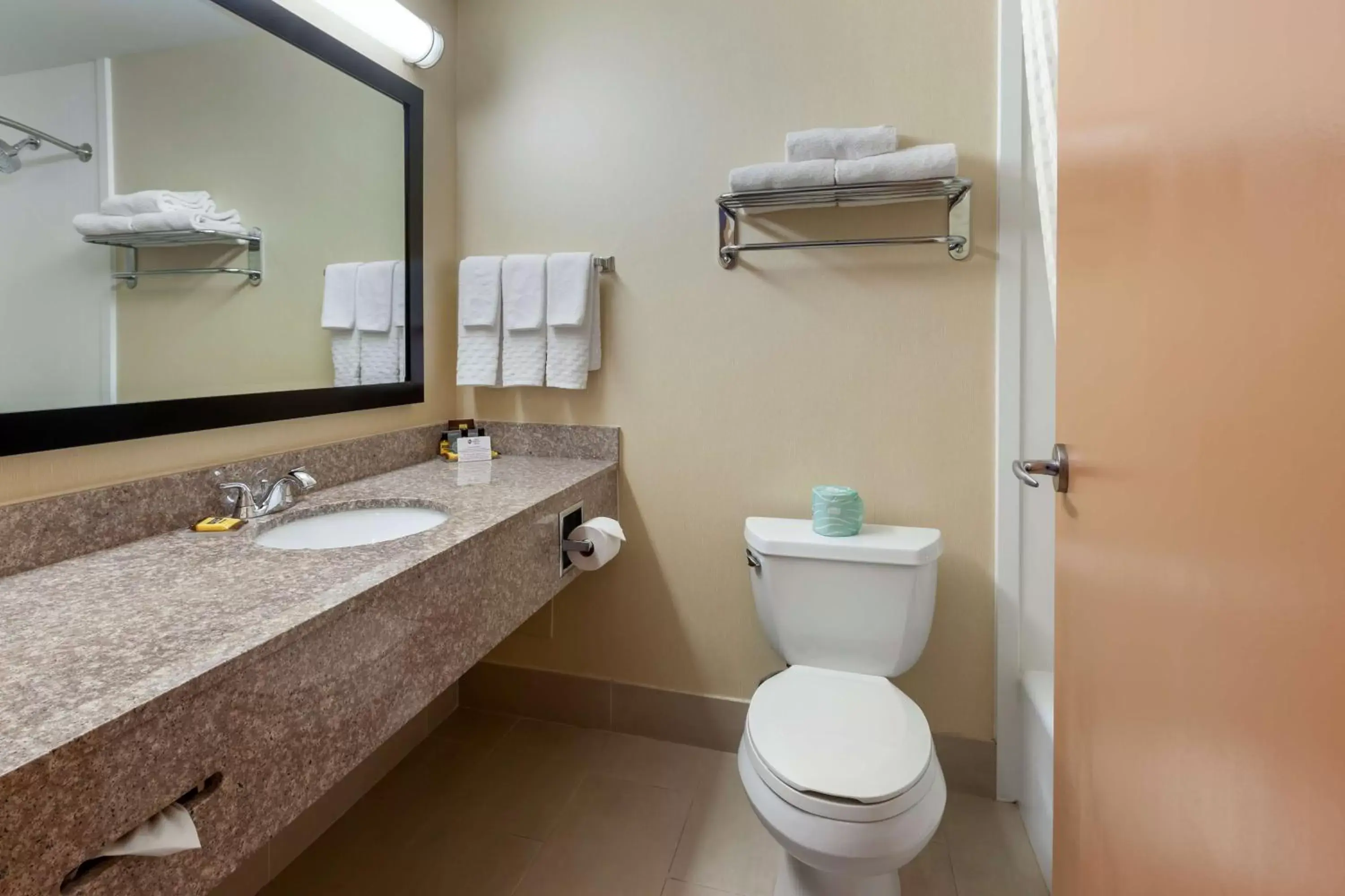 Bathroom in Best Western Plus Burlington Inn & Suites