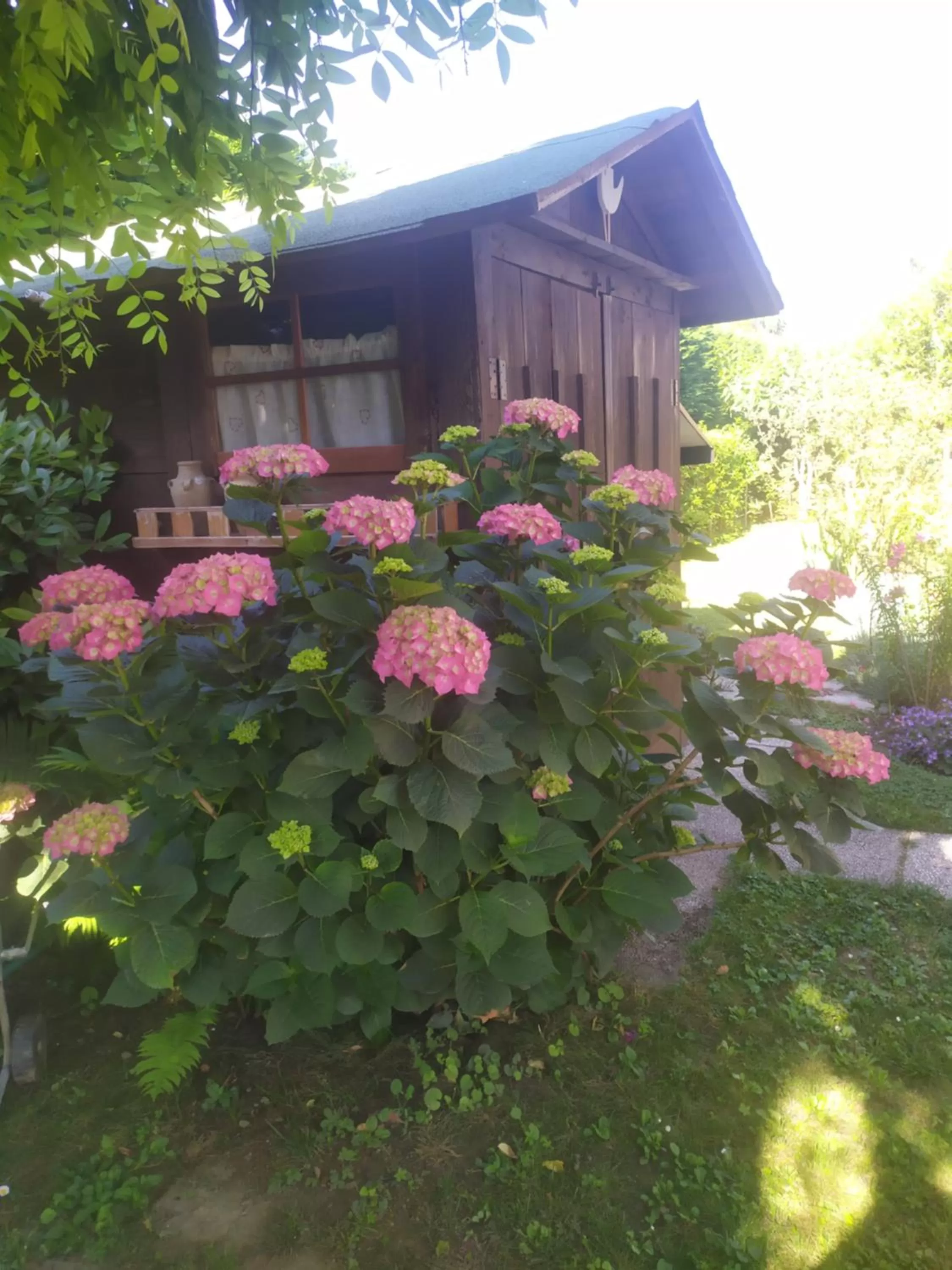 Garden in Al Casale B&B