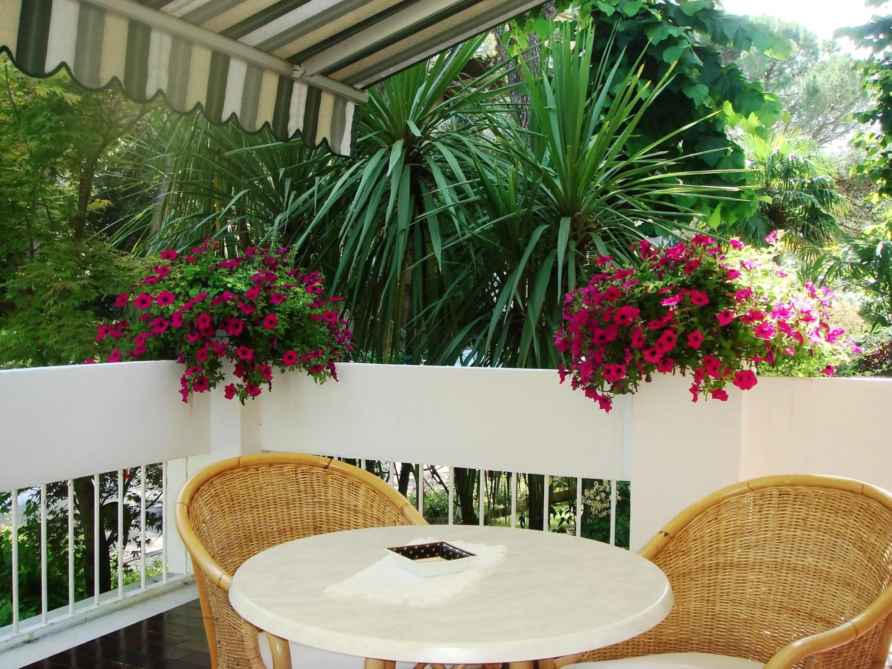 Garden, Balcony/Terrace in Hotel Mar Del Plata