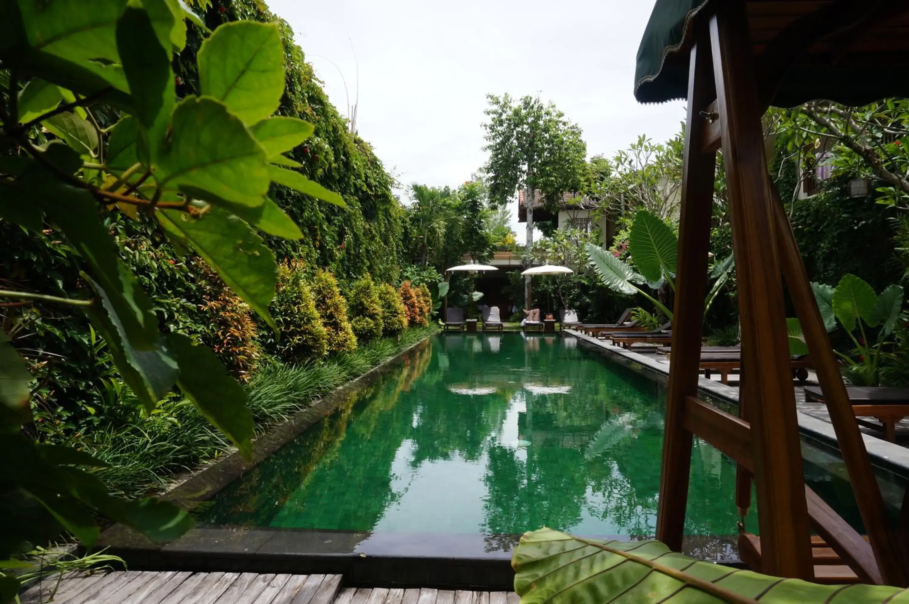 Pool view, Swimming Pool in Sapodilla Ubud