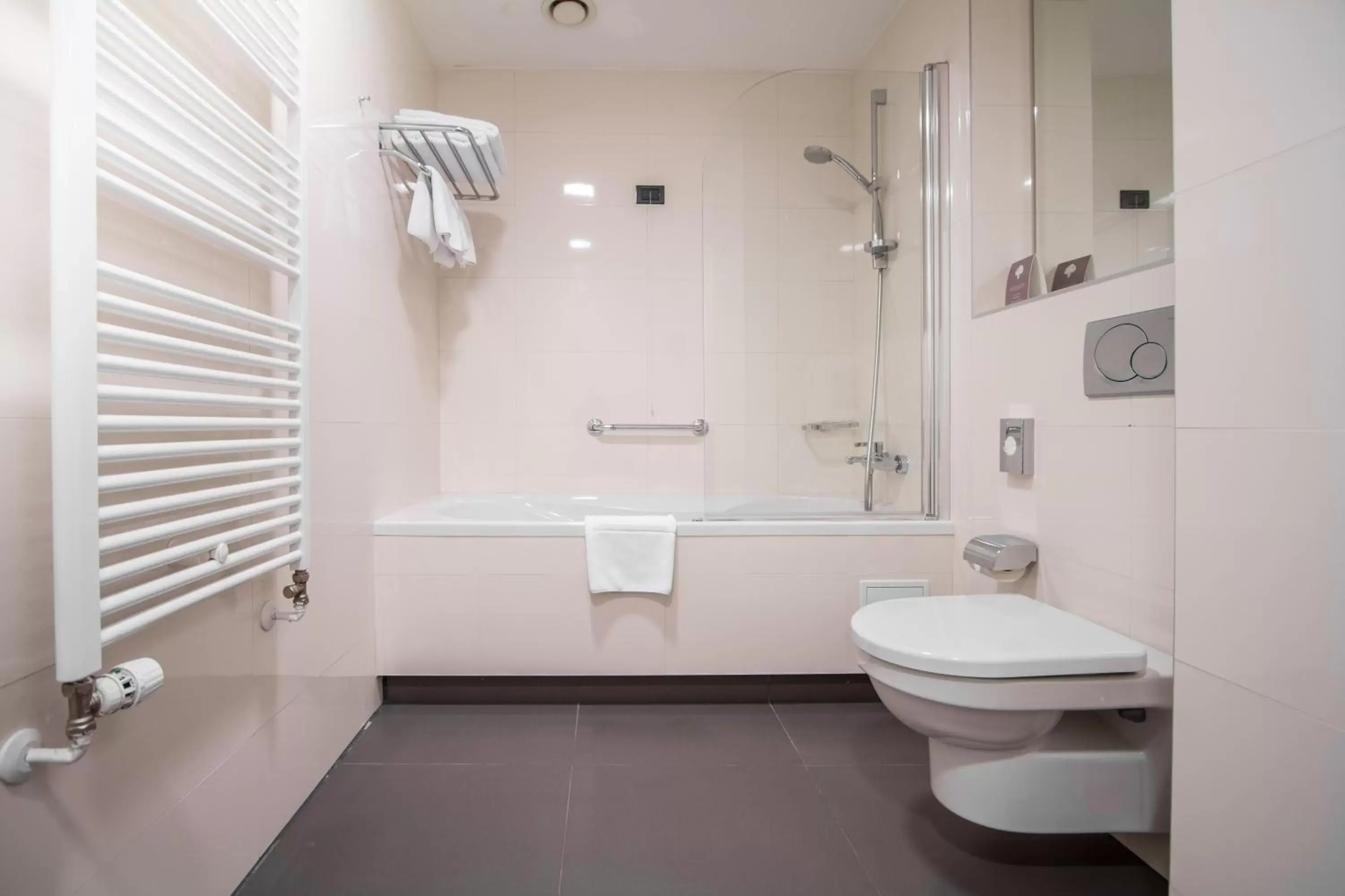 Bathroom in Hotel Atrium