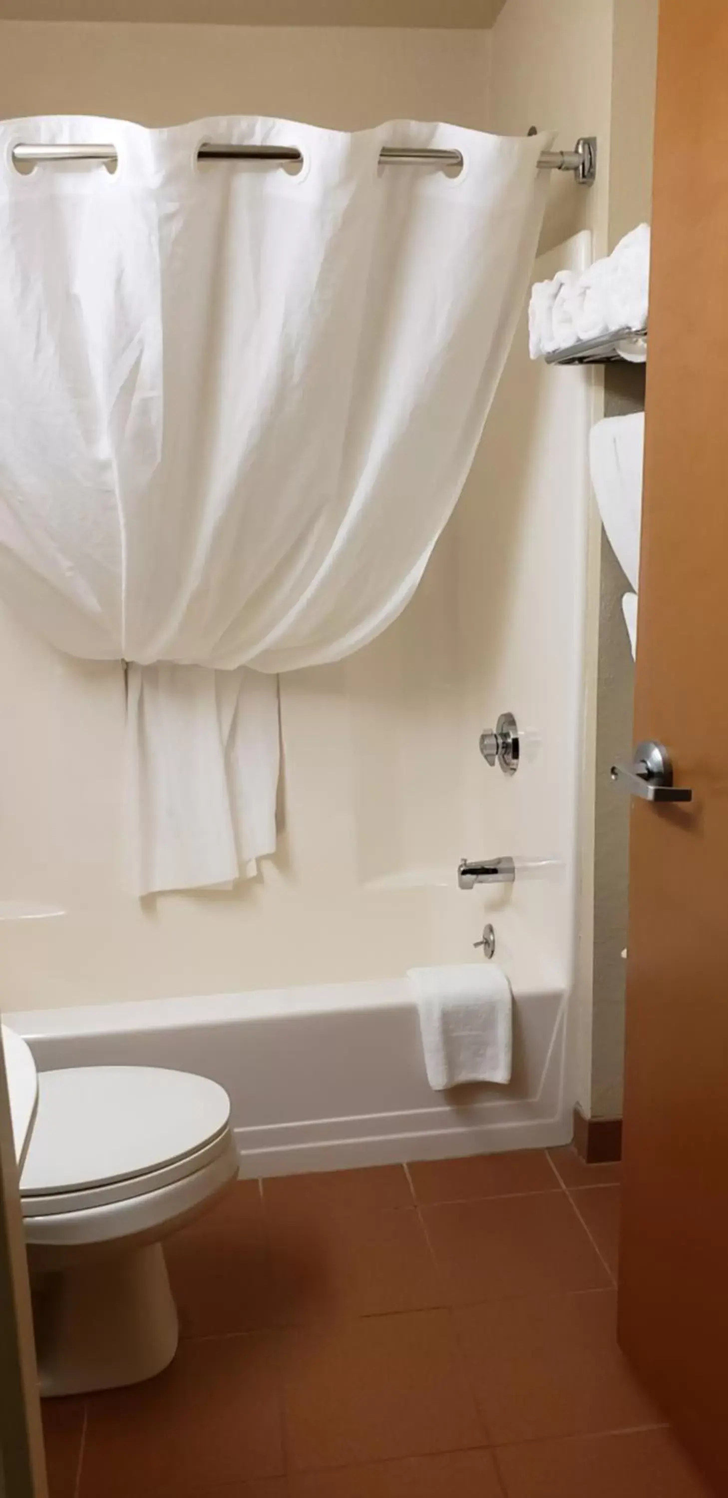 Bathroom in Microtel Inn & Suites by Wyndham Wellsville