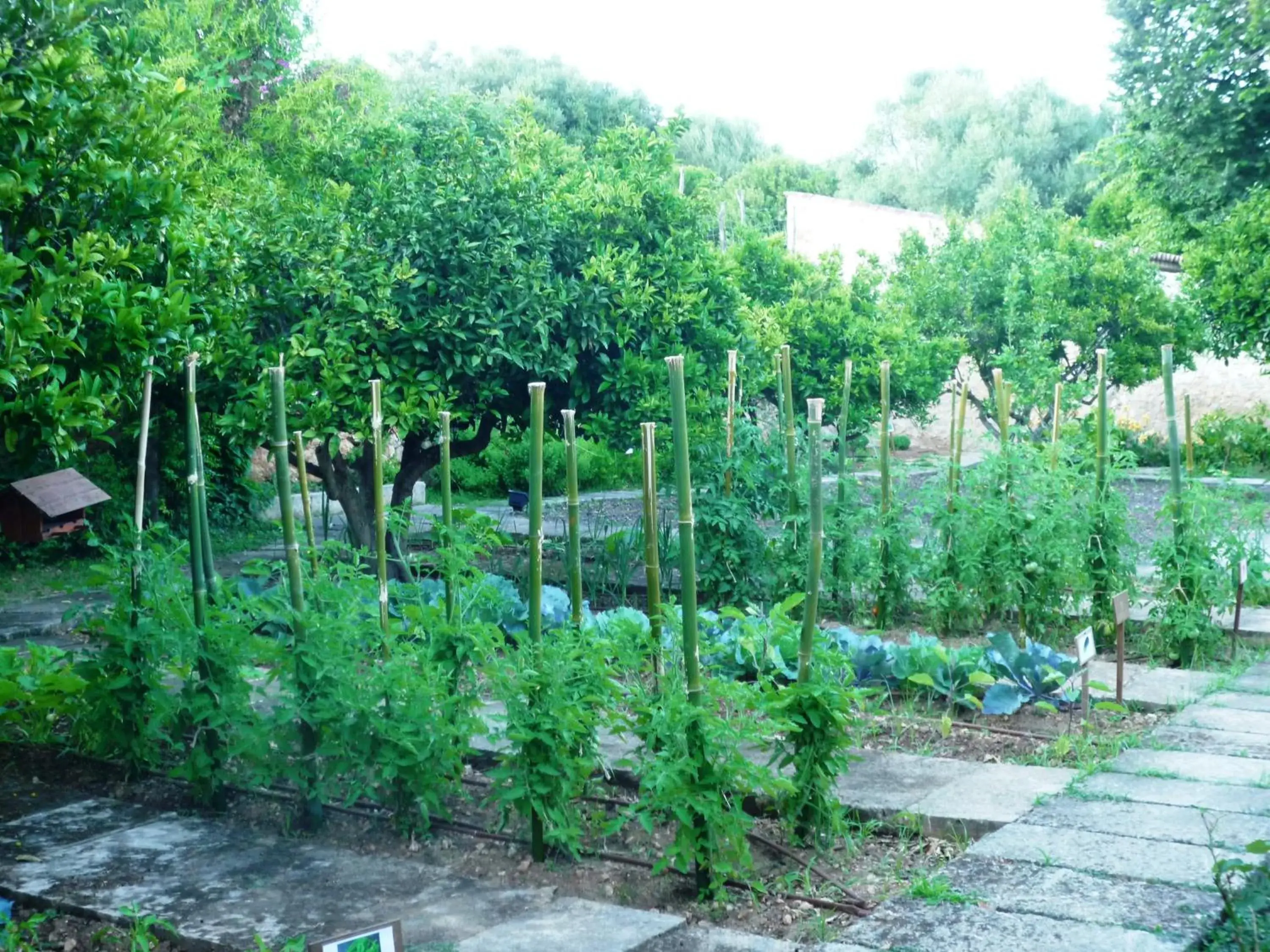 Activities, Garden in Agroturismo Son Siurana