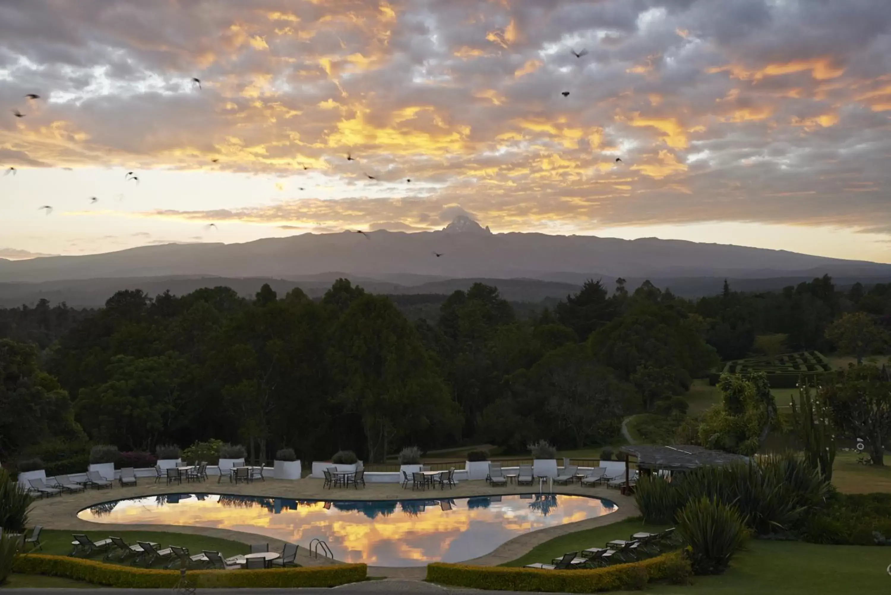 Swimming pool, Pool View in Fairmont Mount Kenya Safari Club