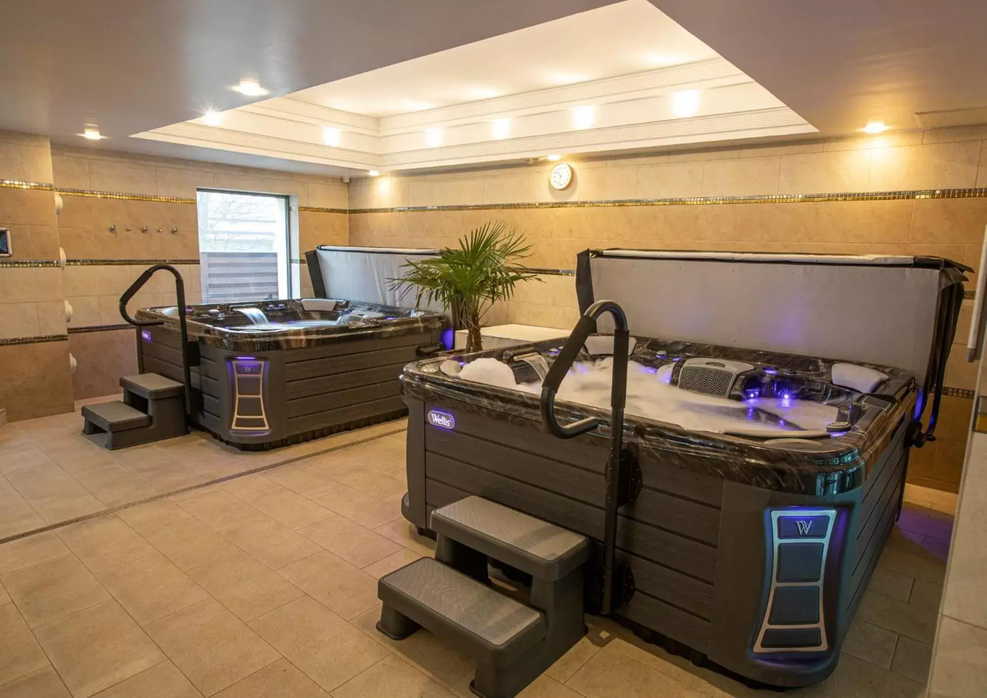 Spa and wellness centre/facilities in Hotel Divinus