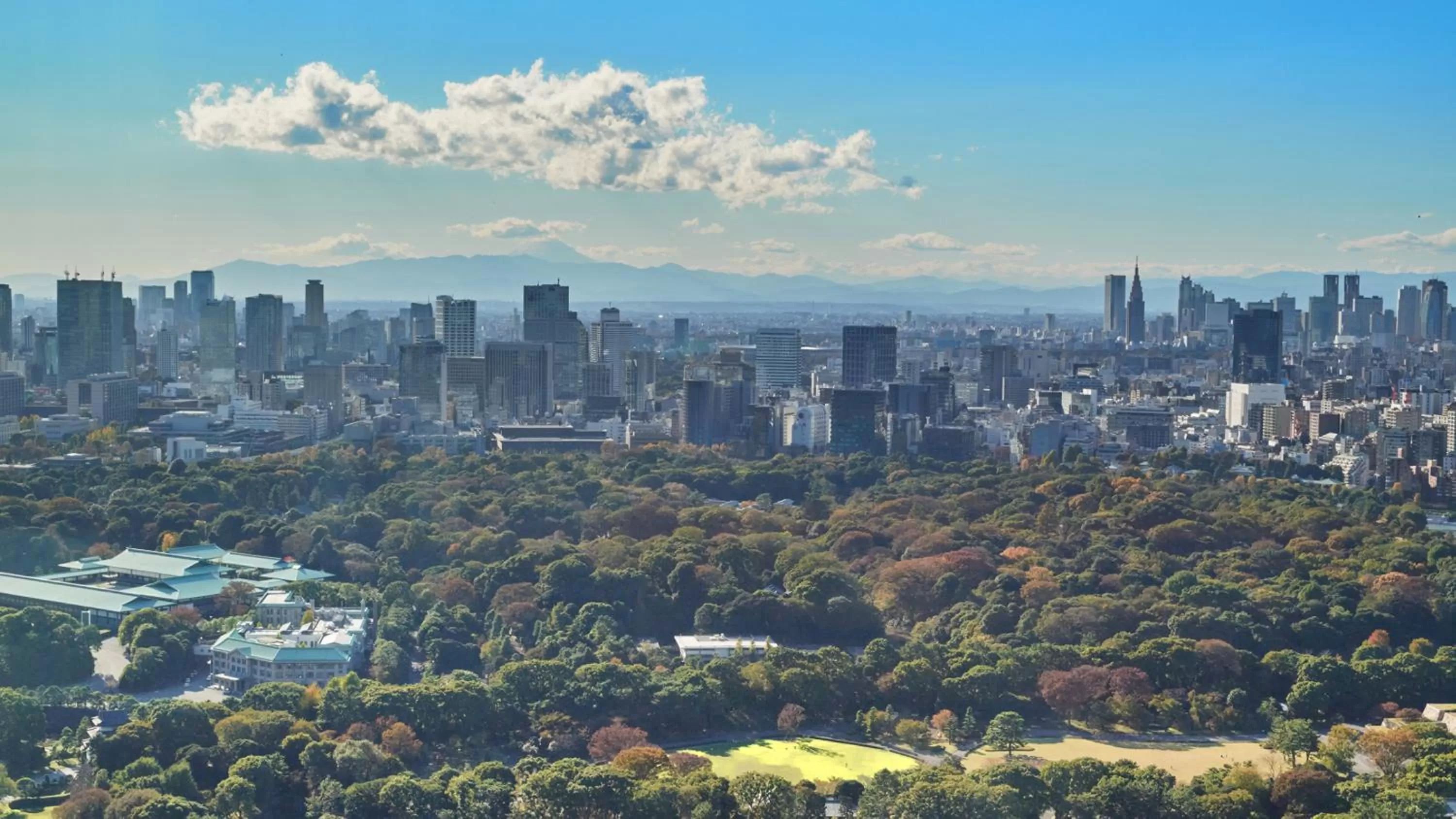 Superior Imperial Garden View Double in Four Seasons Hotel Tokyo at Otemachi