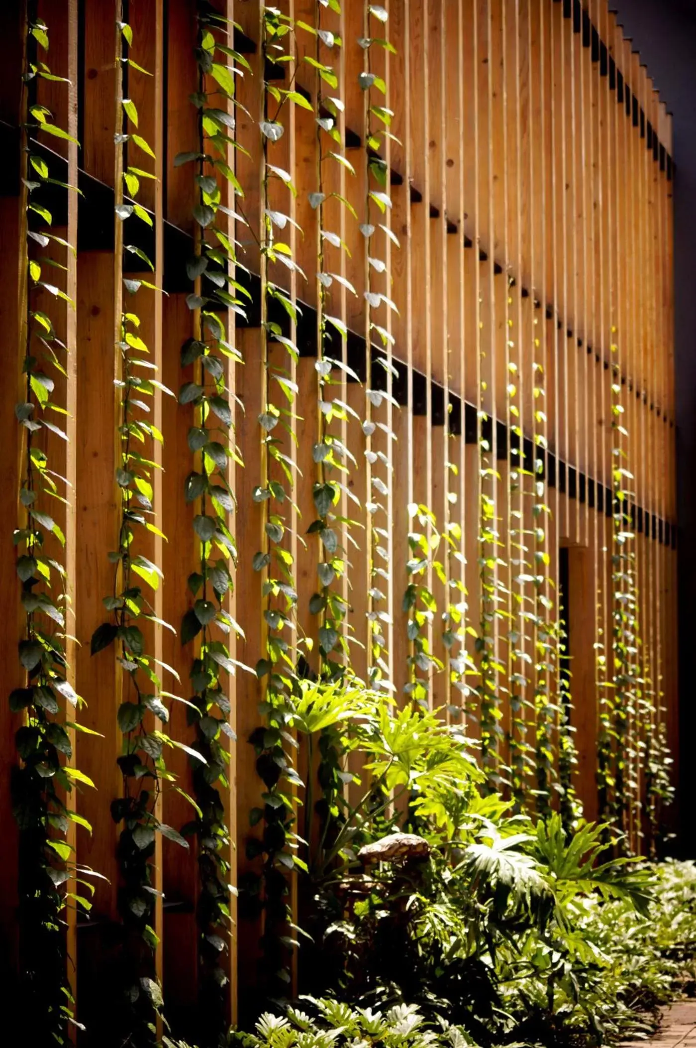 Garden view in Cinco Rodavento Garden view in Cinco Rodavento