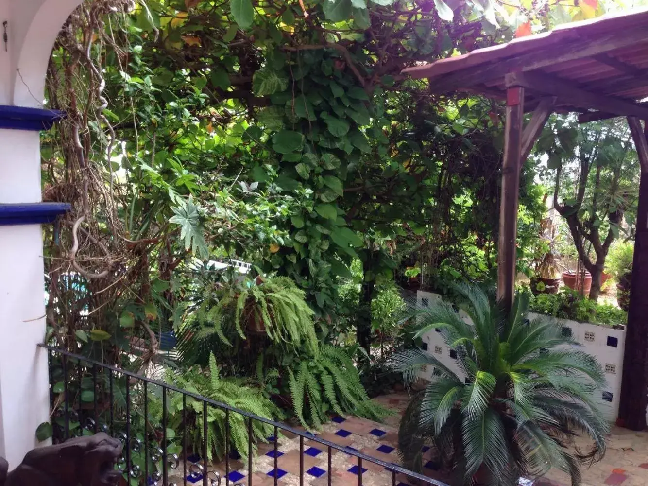 Photo of the whole room, Garden in Casa Terranova