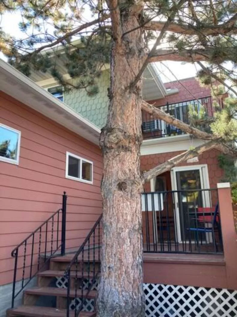 Balcony/Terrace, Property Building in Goldsmith's River Front Inn