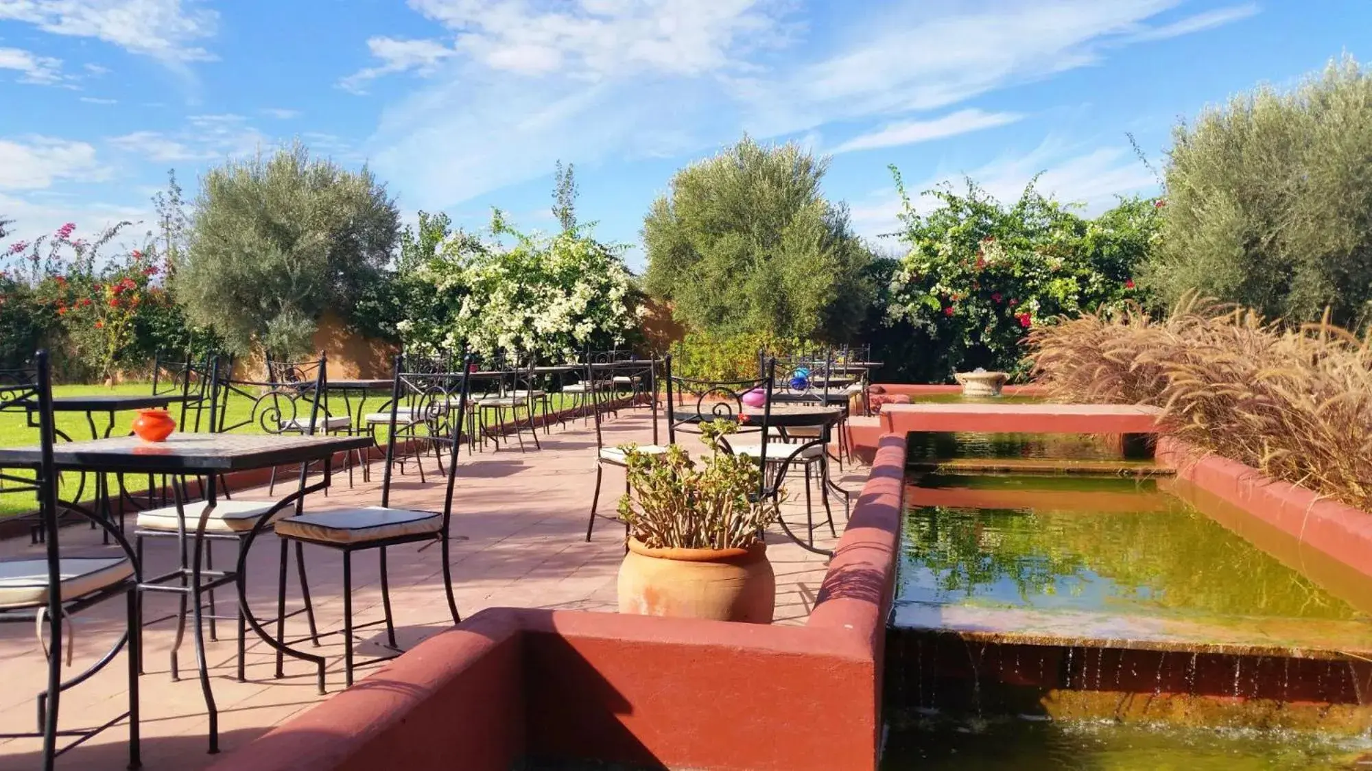 Garden in La Maison Des Oliviers