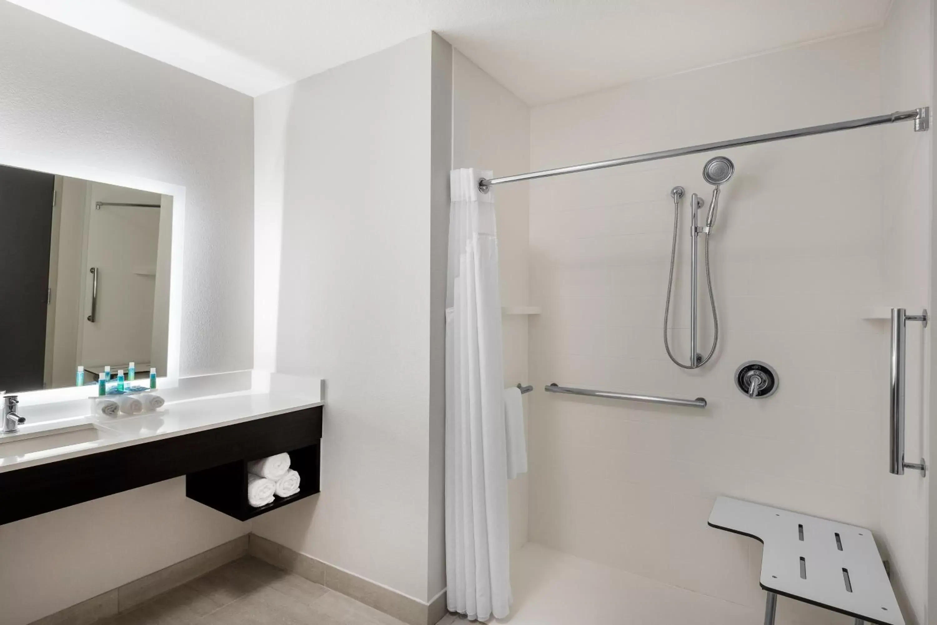 Bathroom in Holiday Inn Express & Suites Lakeland South, an IHG Hotel