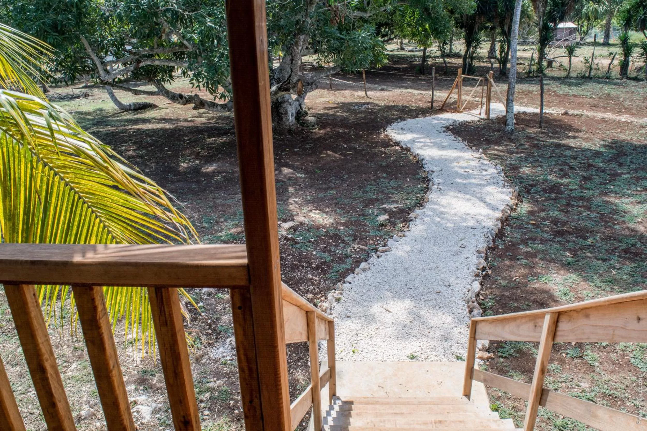 Balcony/Terrace in Horse Cottage
