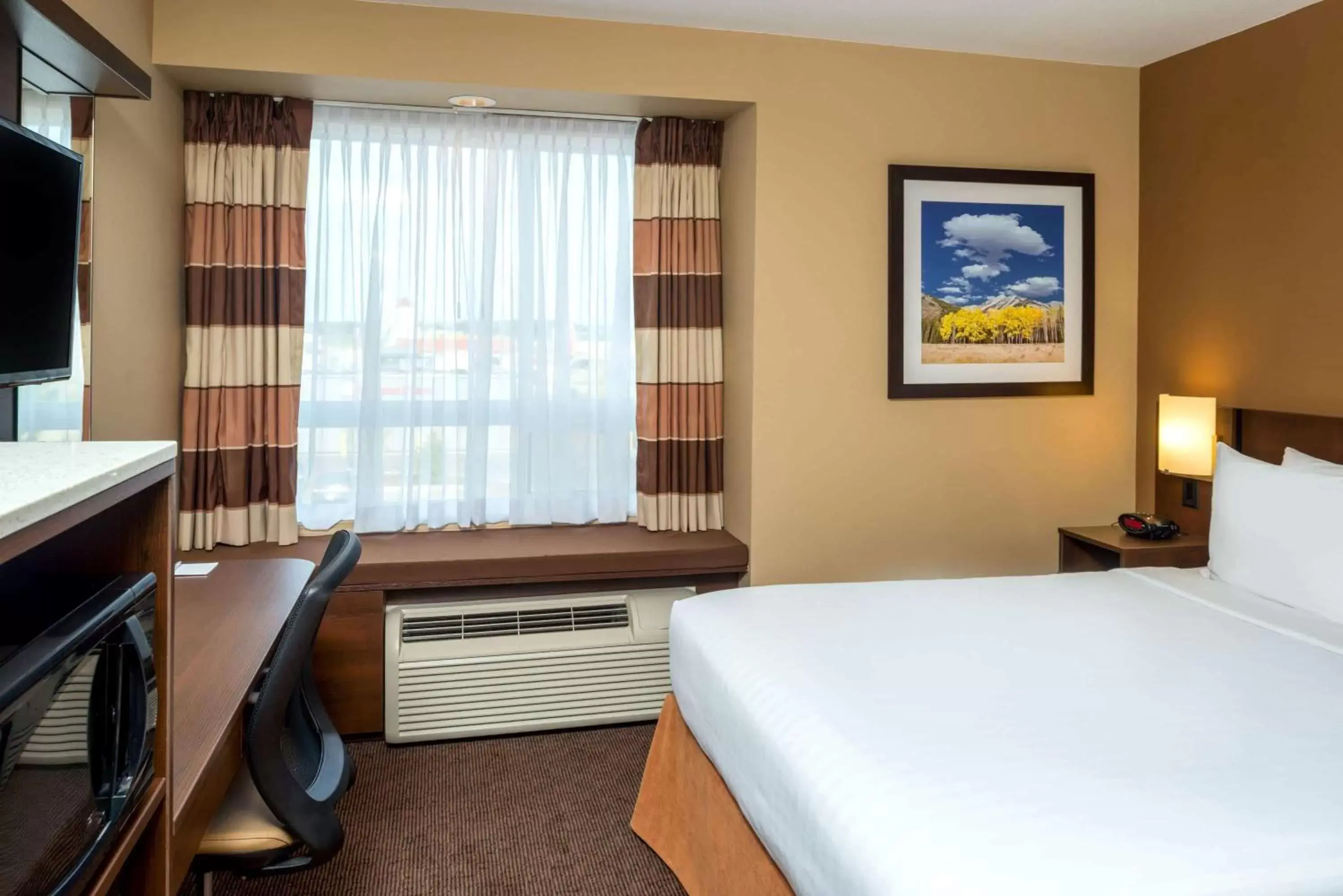 Photo of the whole room, Bed in Microtel Inn & Suites by Wyndham Red Deer