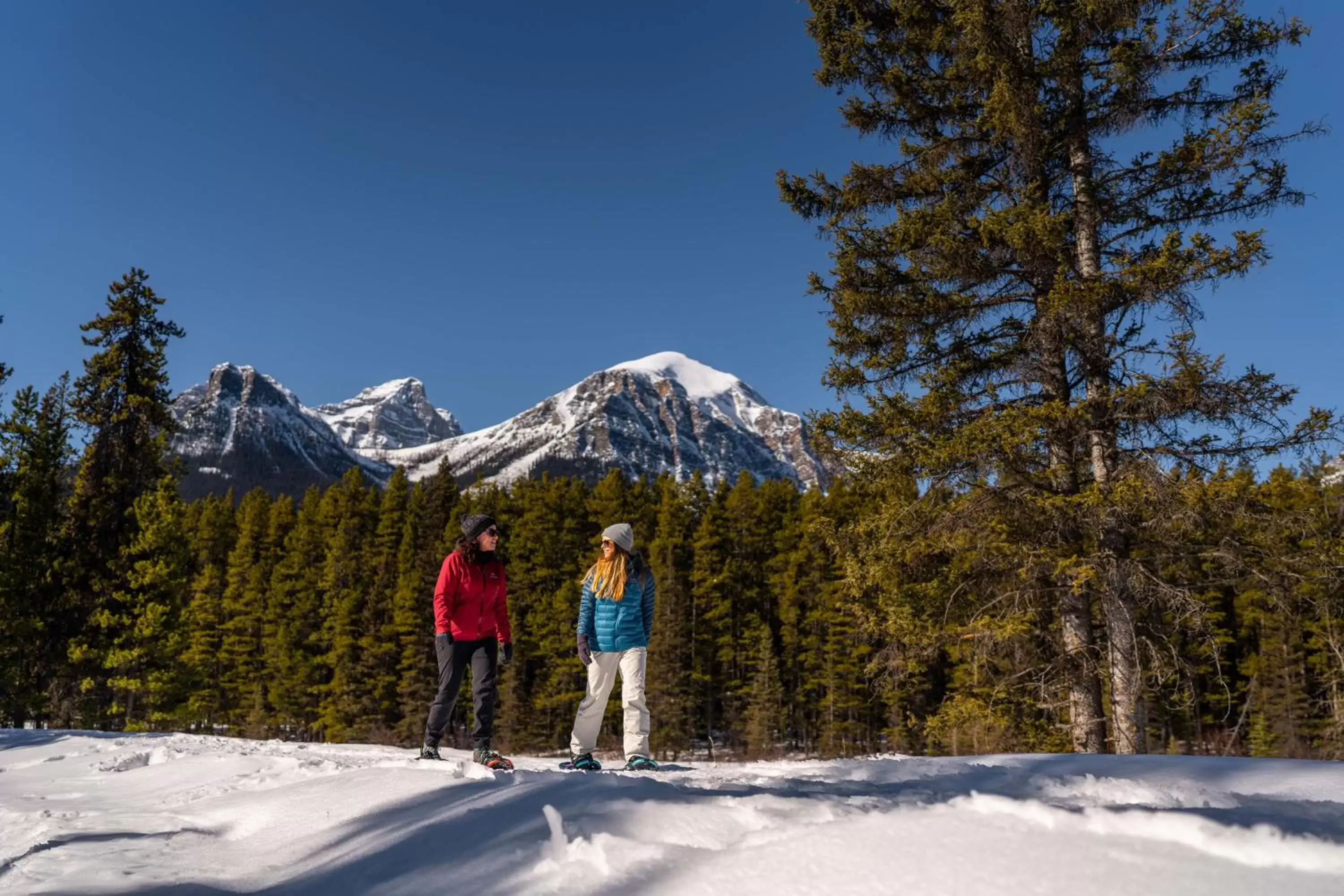 Area and facilities, Winter in Lake Louise Inn