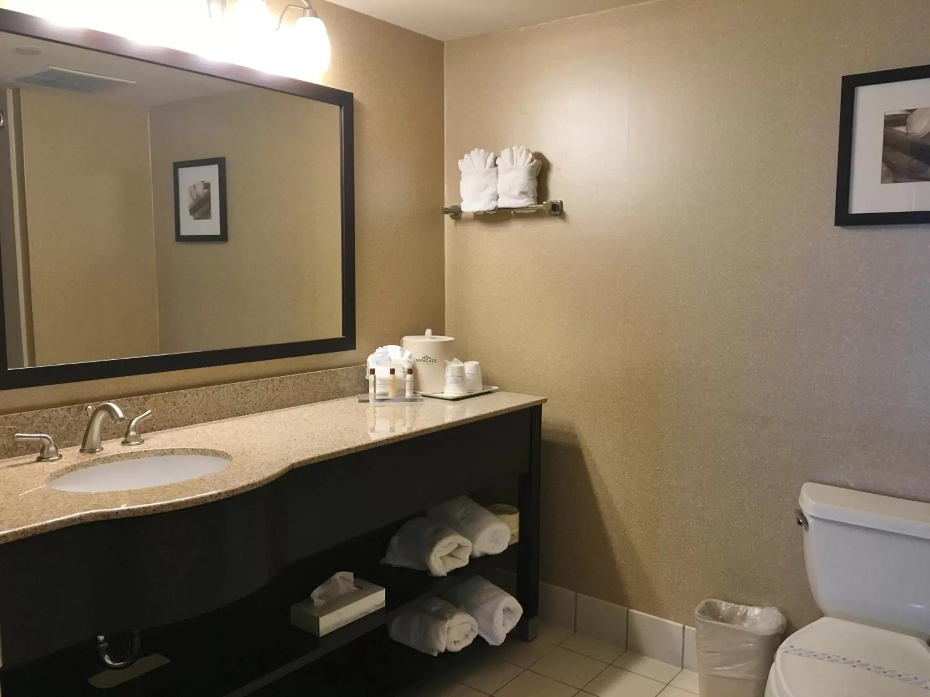 Bathroom in Wingate by Wyndham Wilmington