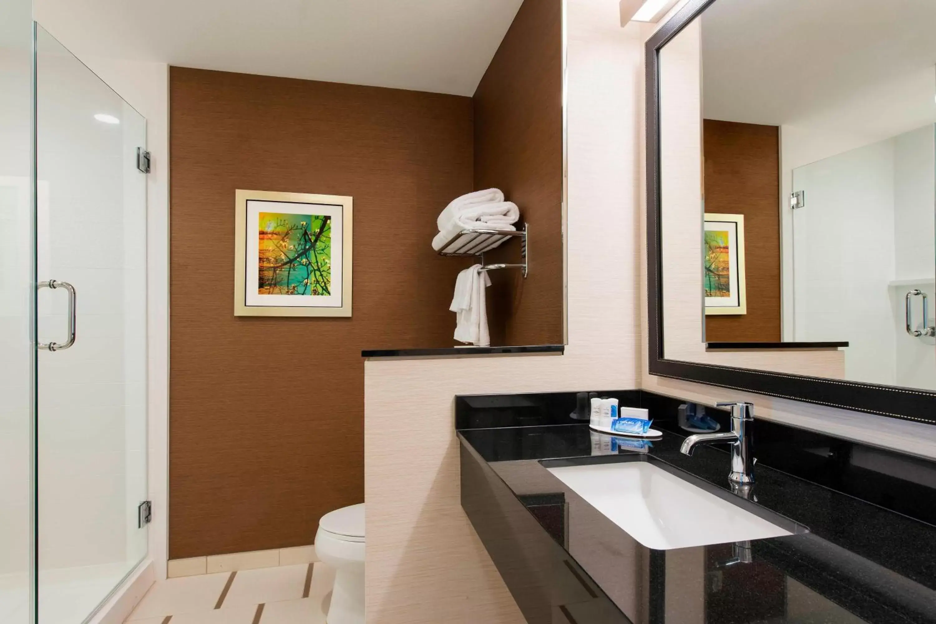 Bathroom in Fairfield Inn & Suites by Marriott Jackson Clinton