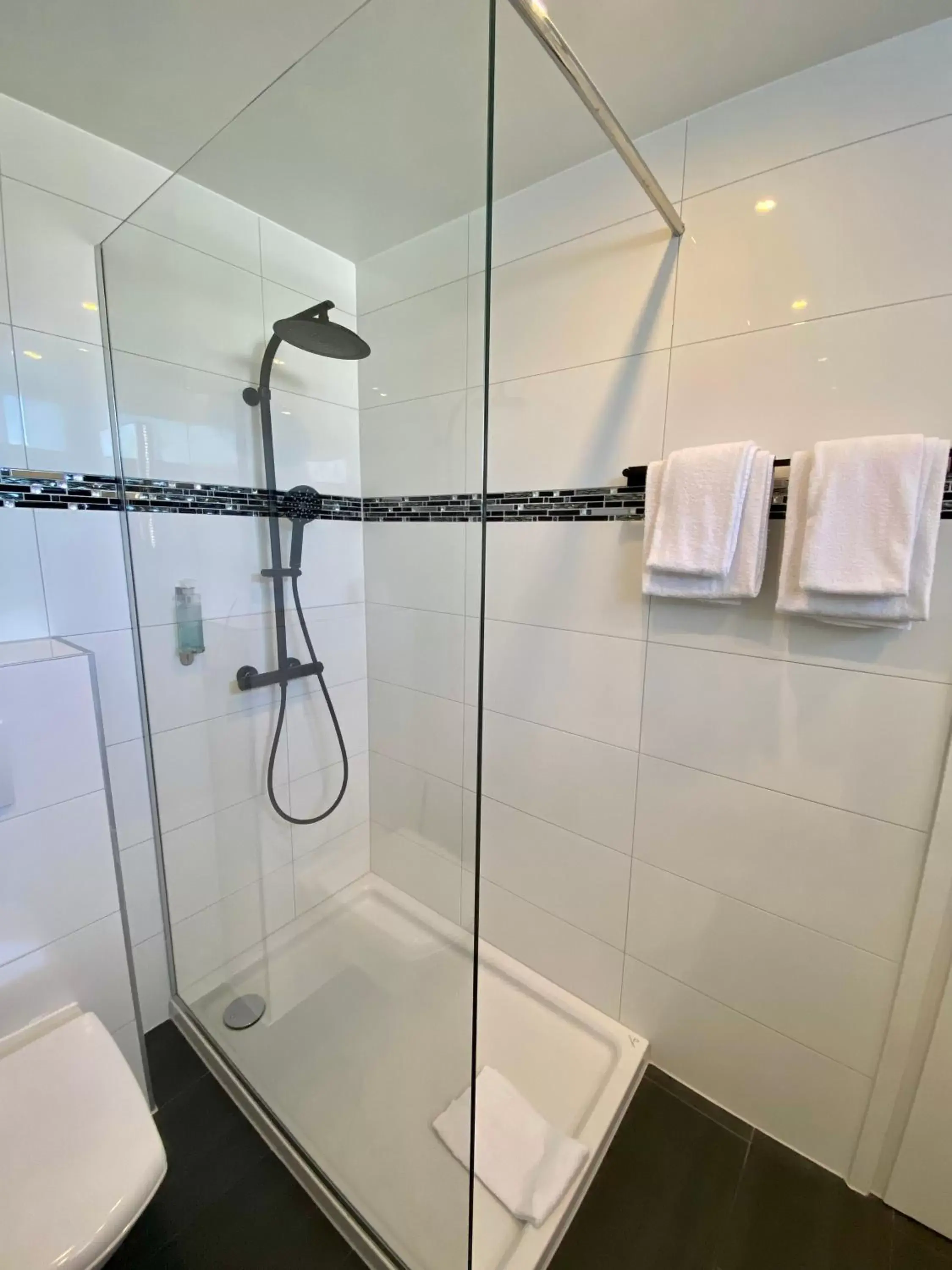 Shower, Bathroom in ARTHOTEL Haar