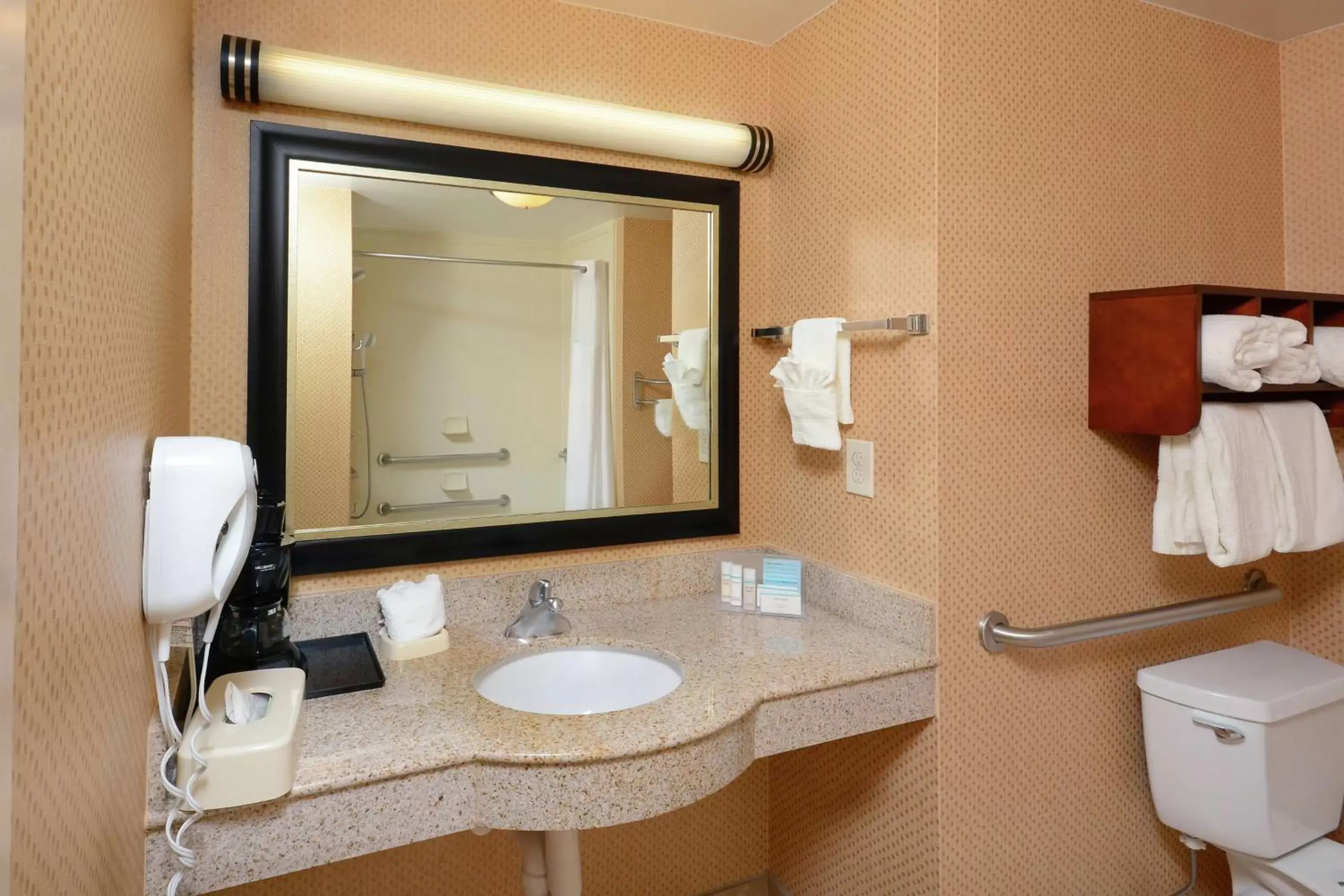 Bathroom in Hampton Inn & Suites Huntersville