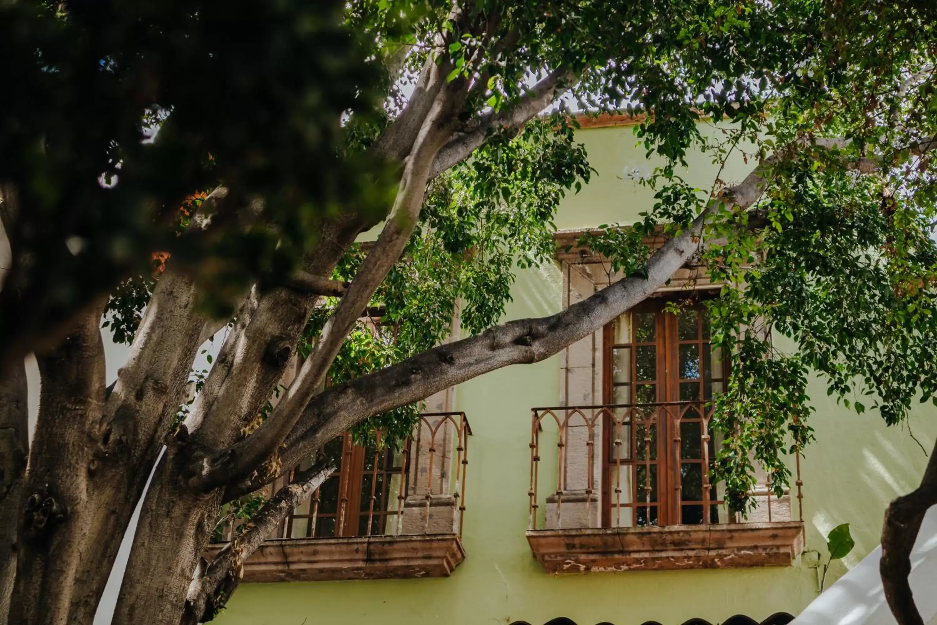 View (from property/room), Property Building in Casa Quetzal