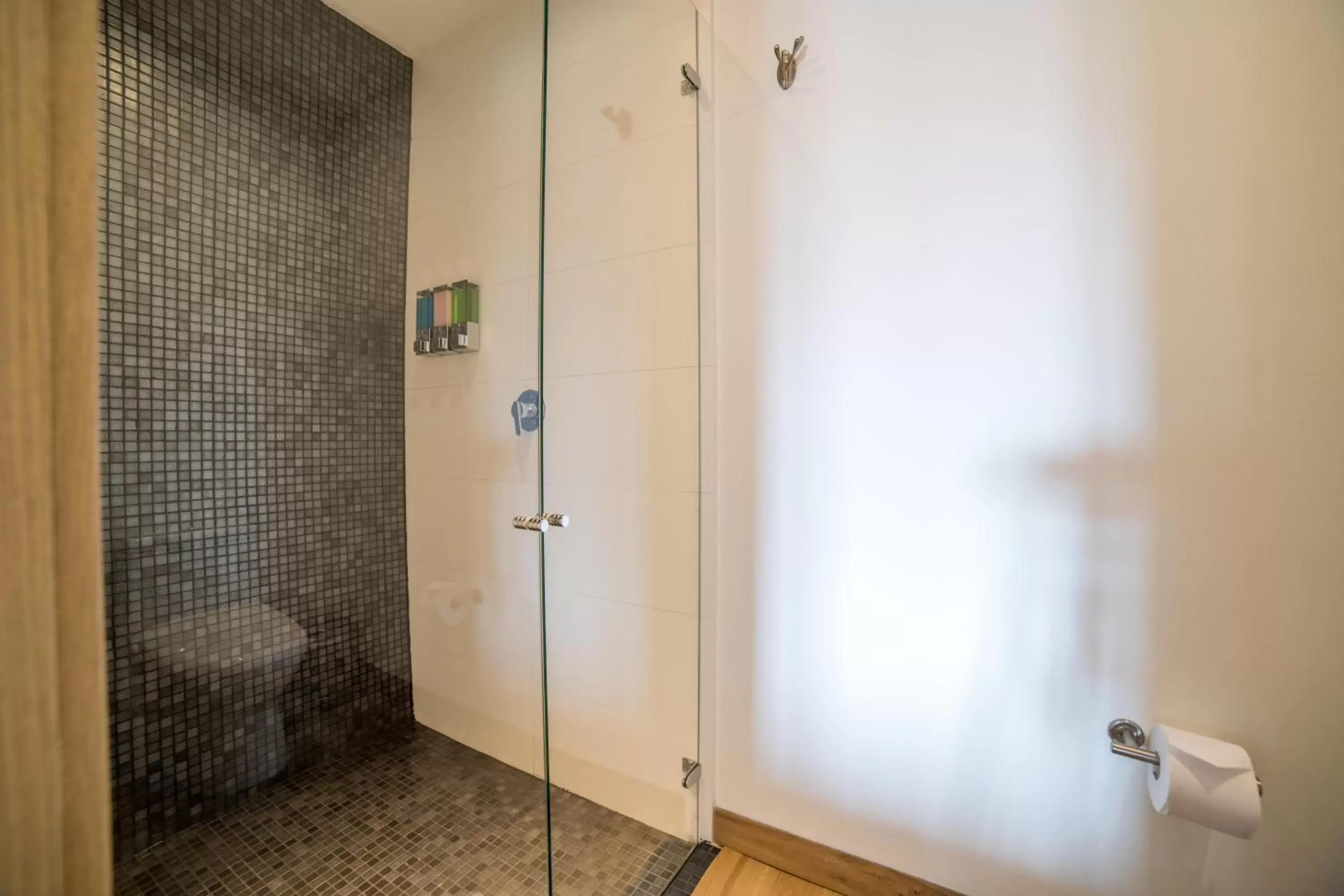 Shower, Bathroom in Biohotel Organic Suites