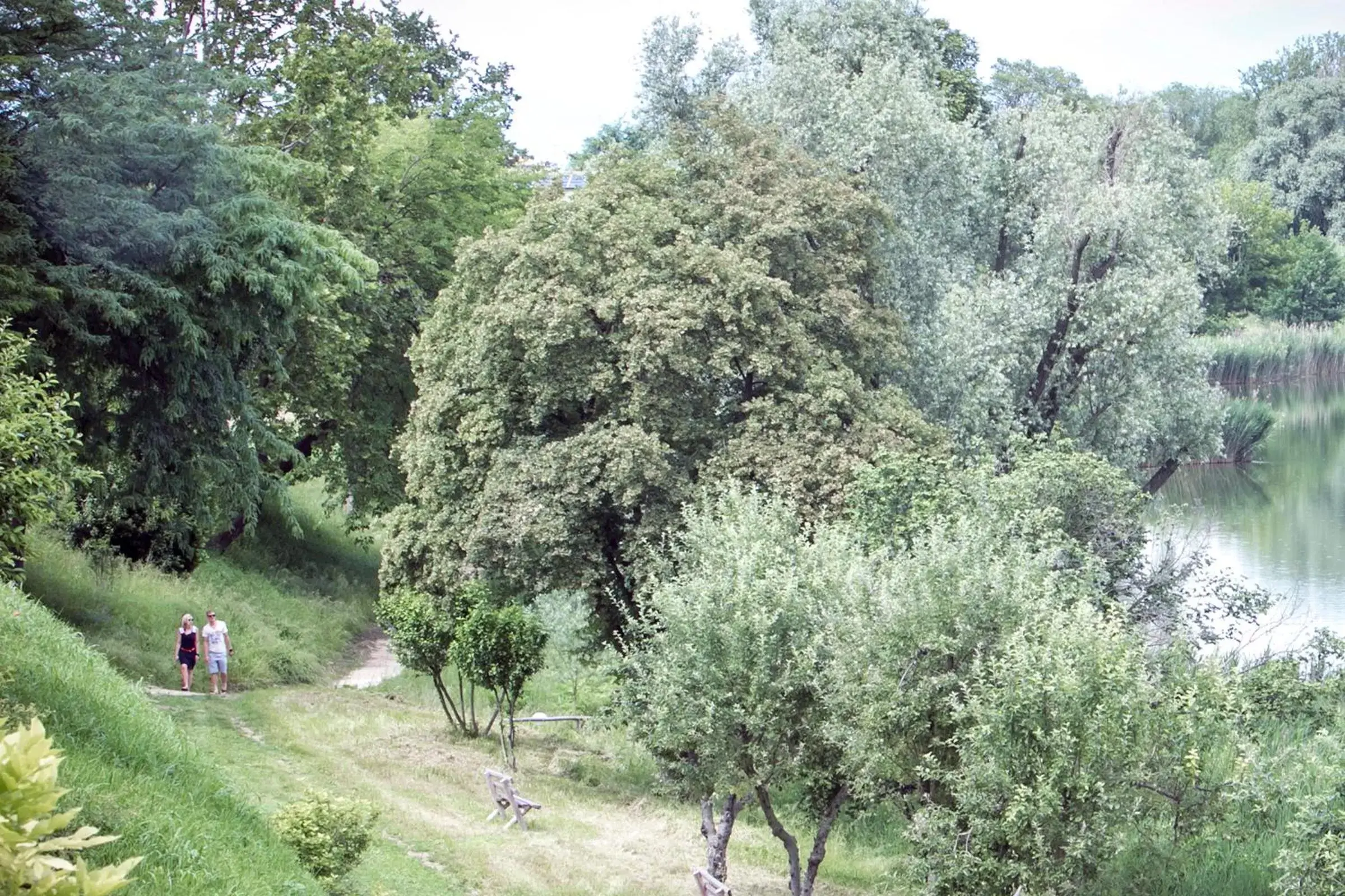 Natural landscape in Le Ali Del Frassino