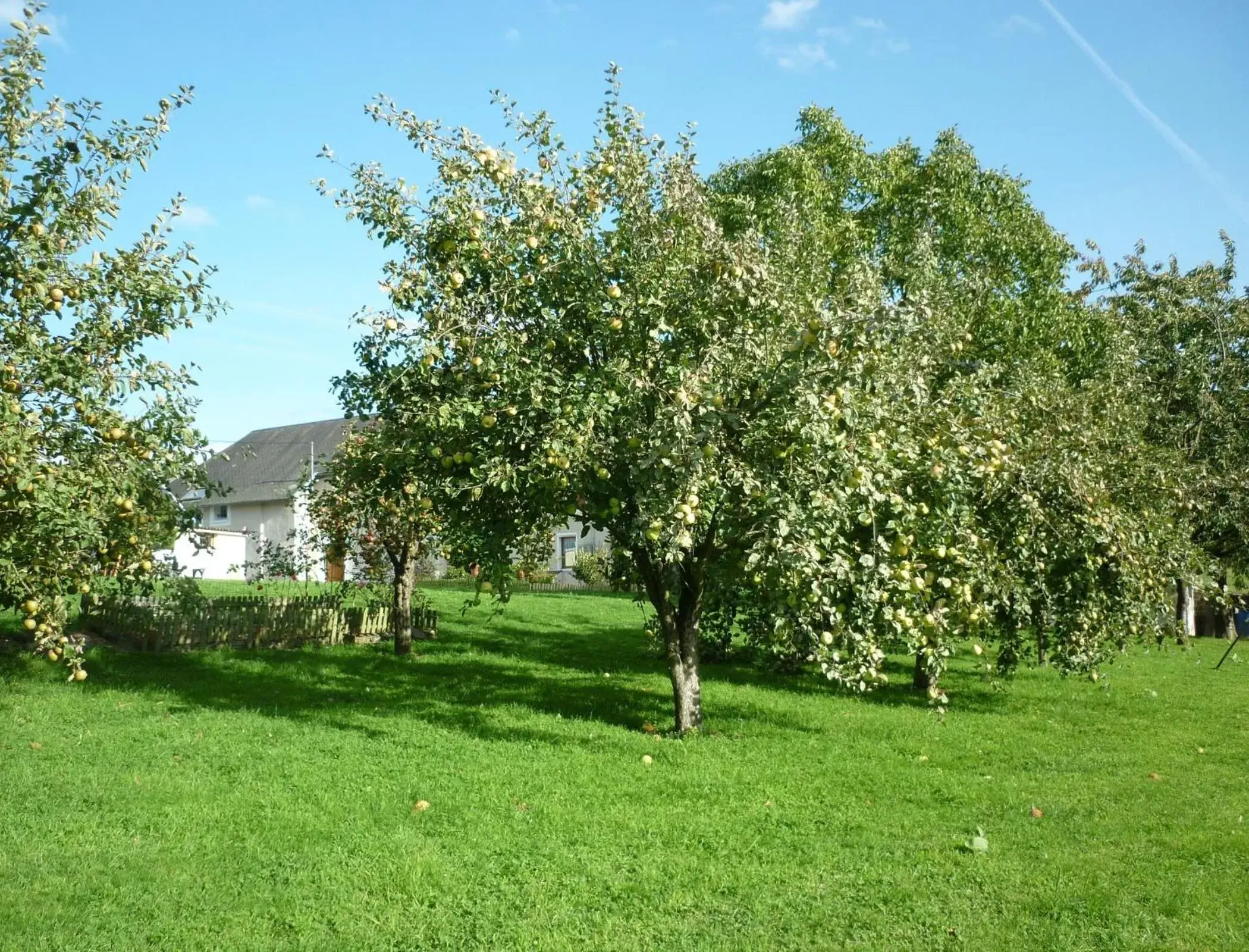 Garden in La Parisière