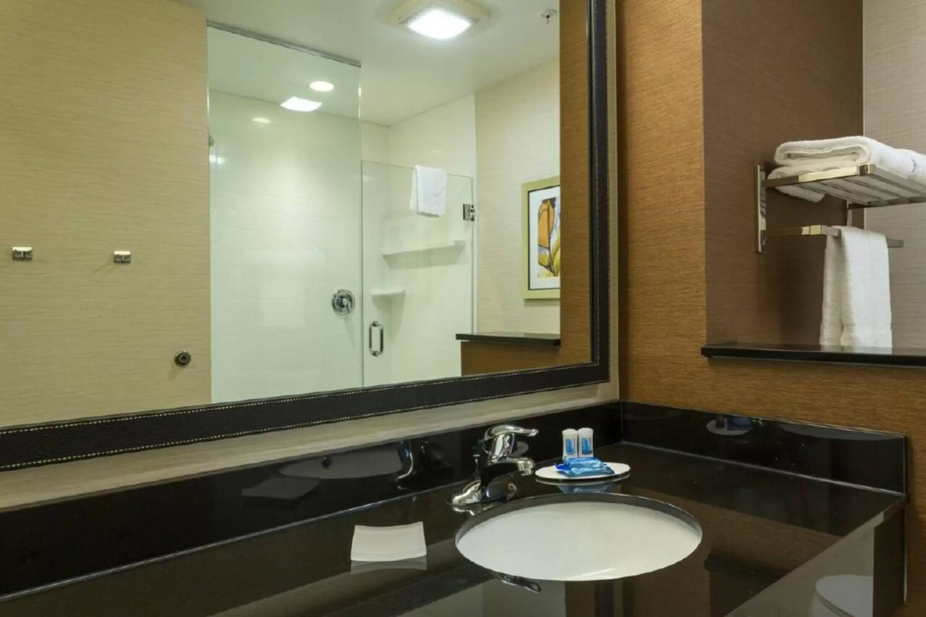 Bathroom in Fairfield Inn & Suites by Marriott Fort Lauderdale Pembroke Pines
