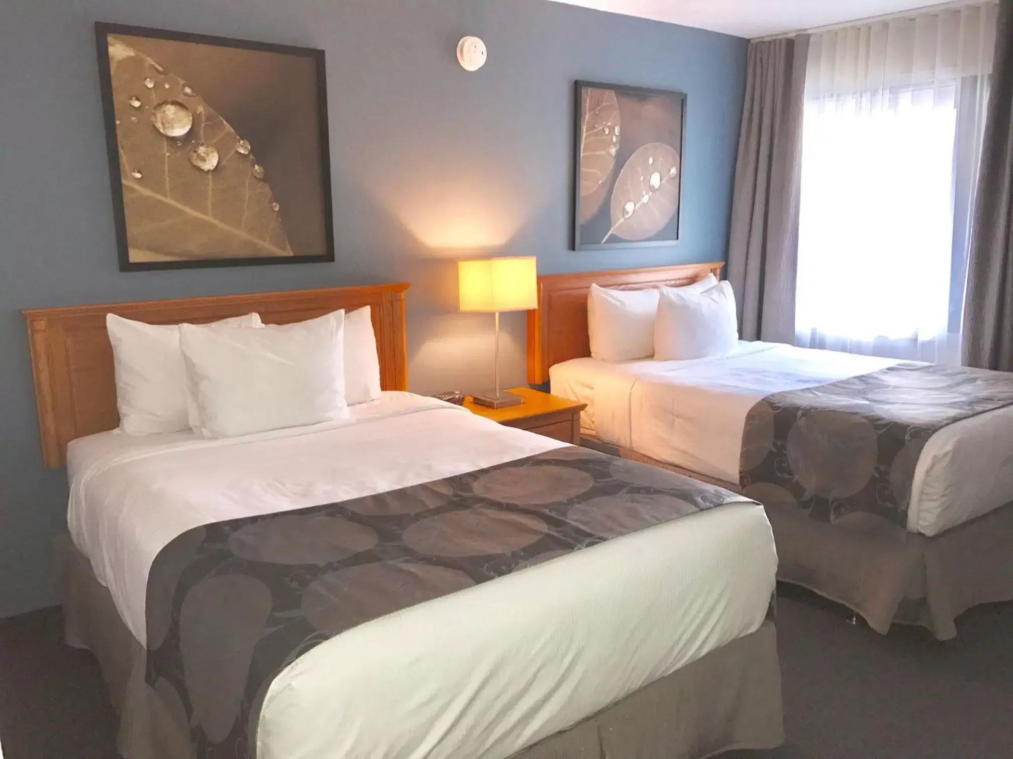 Photo of the whole room, Bed in Quality Inn Rouyn-Noranda