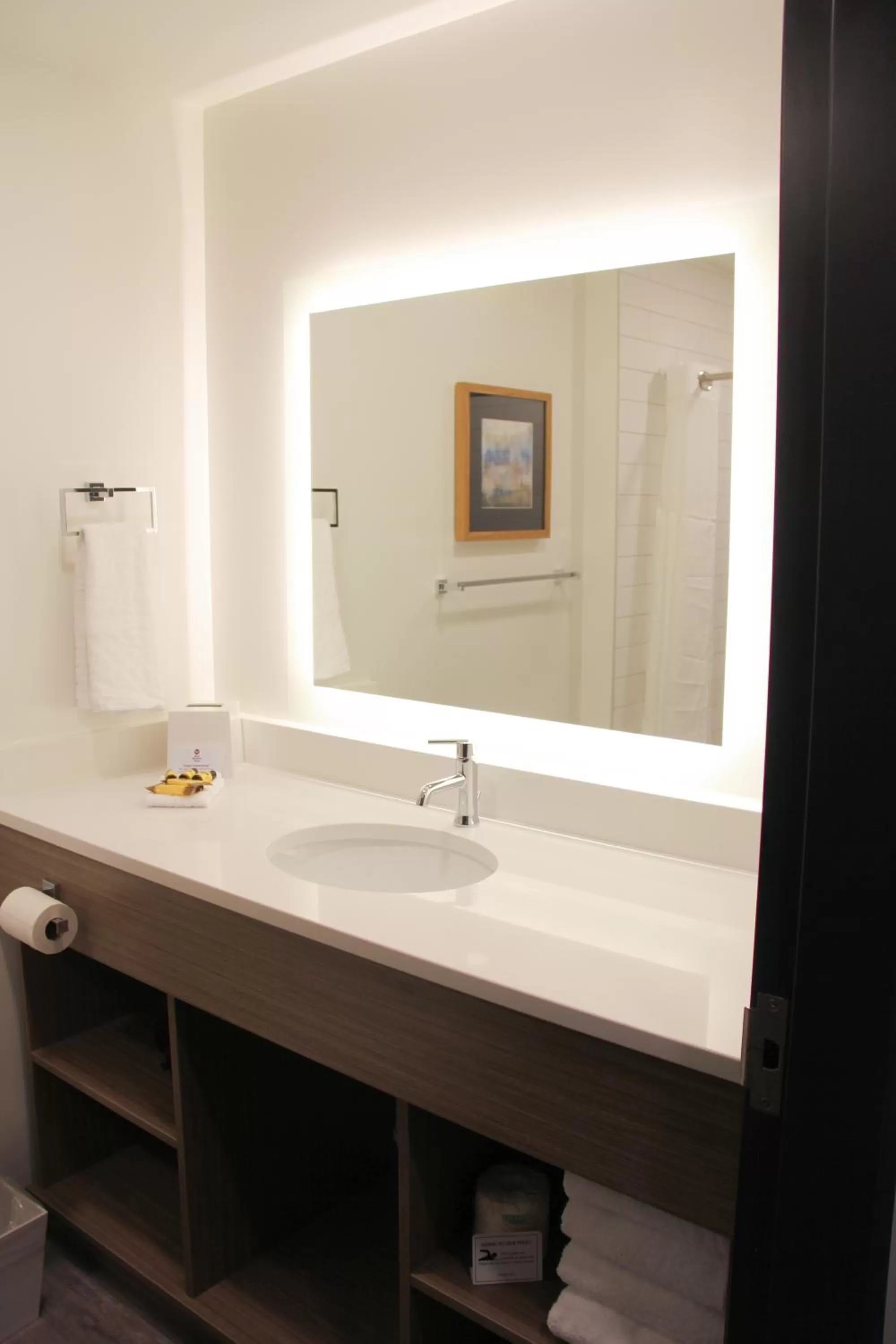 Bathroom in Best Western Plus Winkler