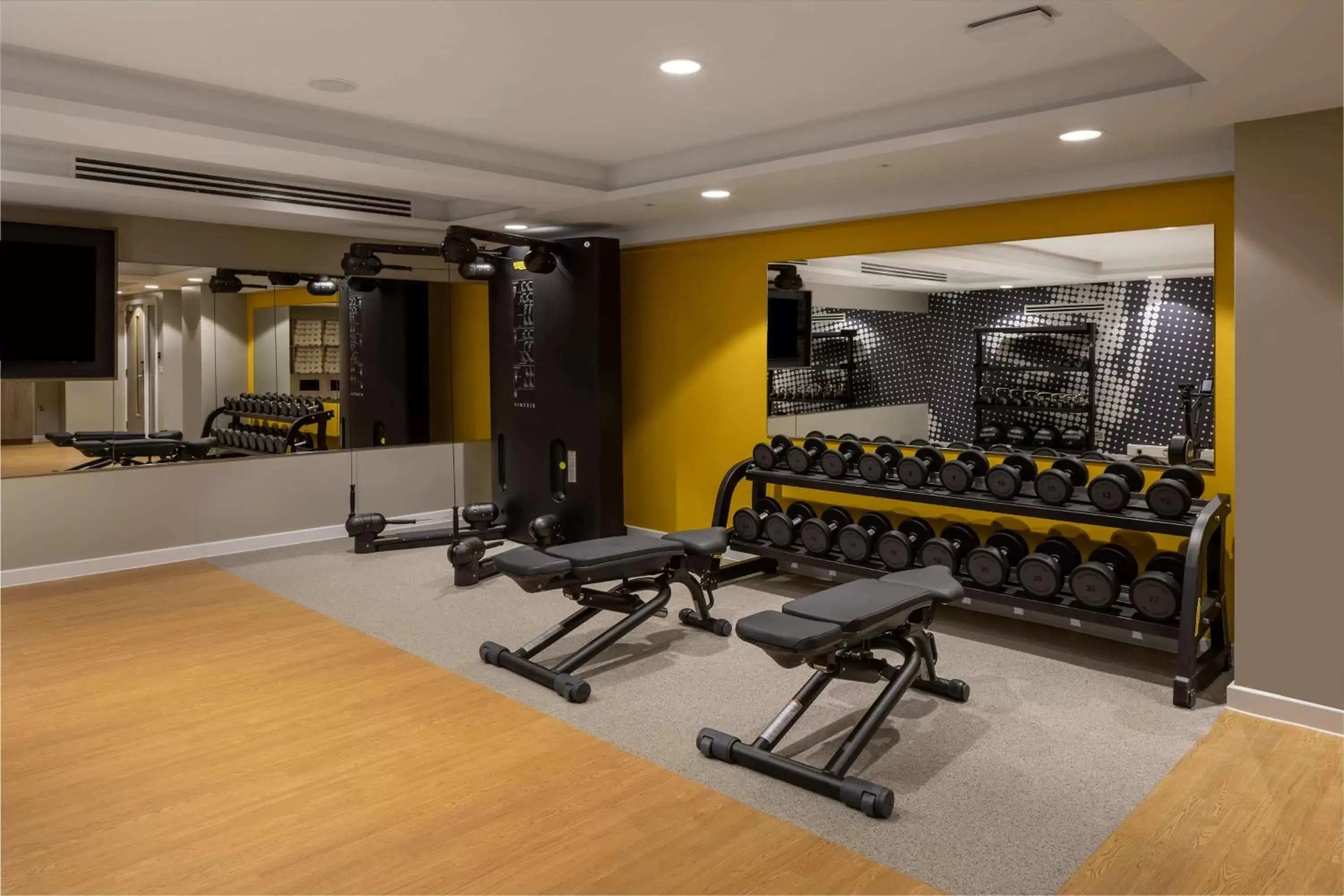 Fitness centre/facilities, Fitness Center/Facilities in Hampton By Hilton London City