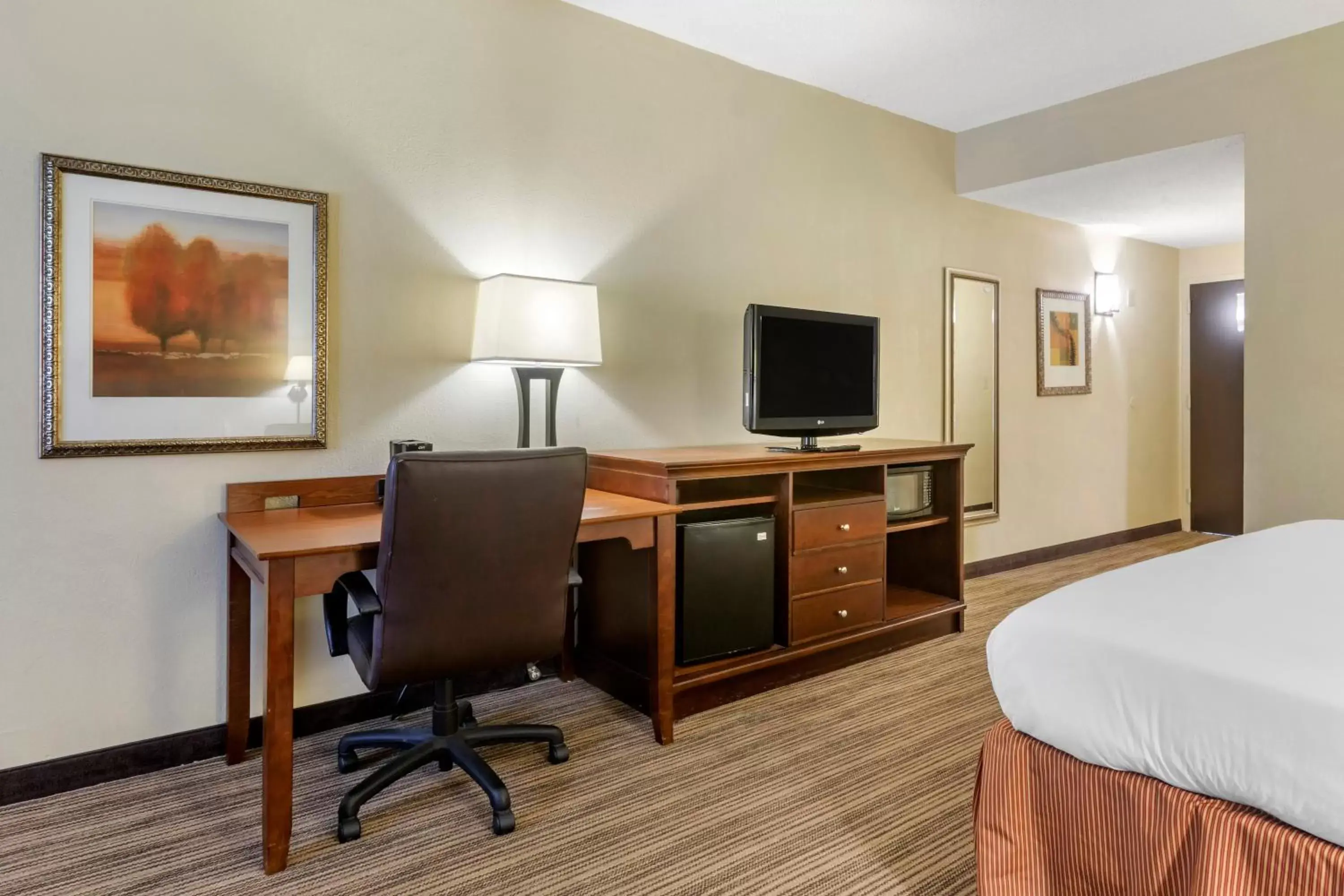 TV and multimedia, TV/Entertainment Center in Country Inn & Suites Atlanta Downtown