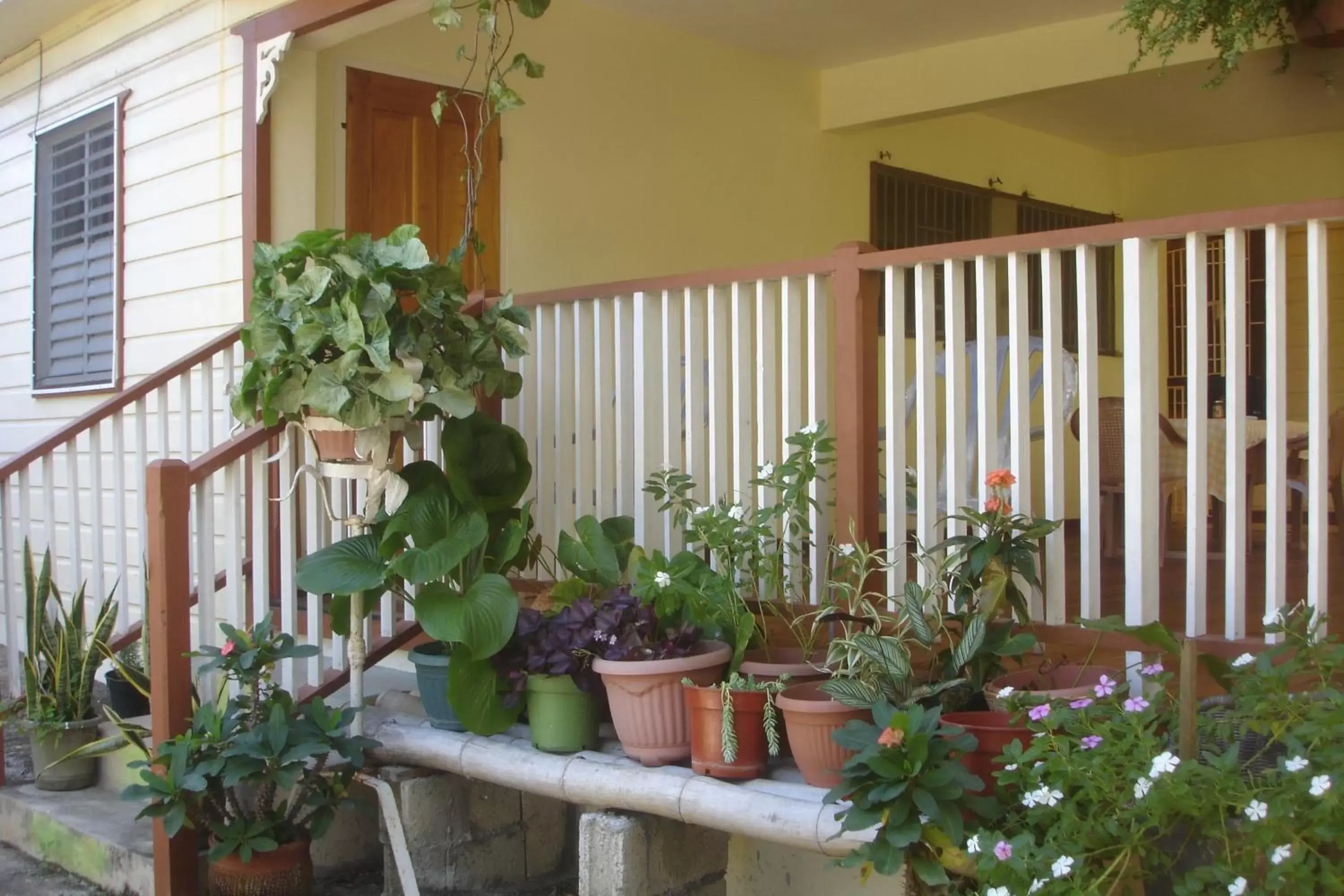 Balcony/Terrace in Finjam Cottage