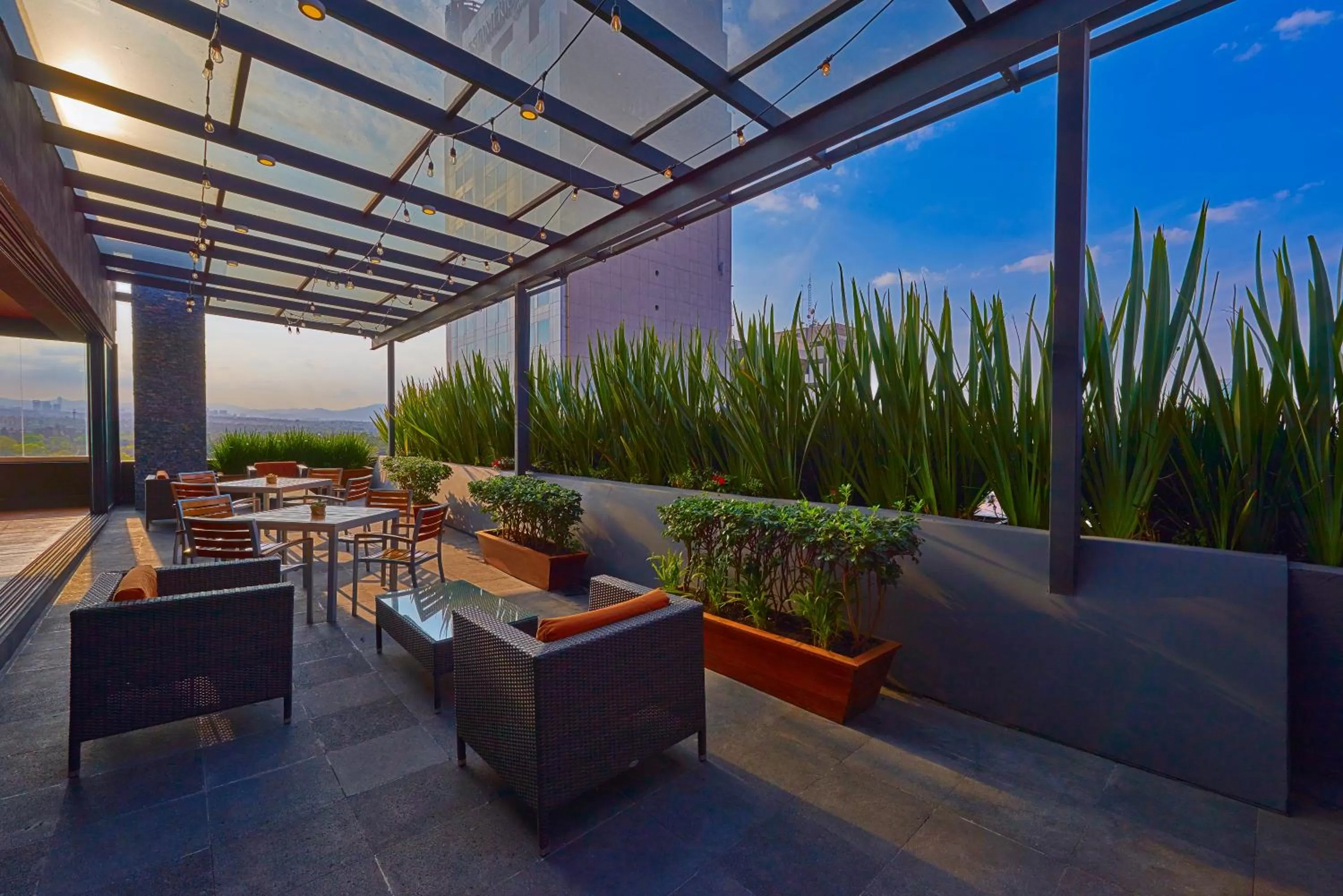 Balcony/Terrace in Wyndham Garden Mexico City - Polanco