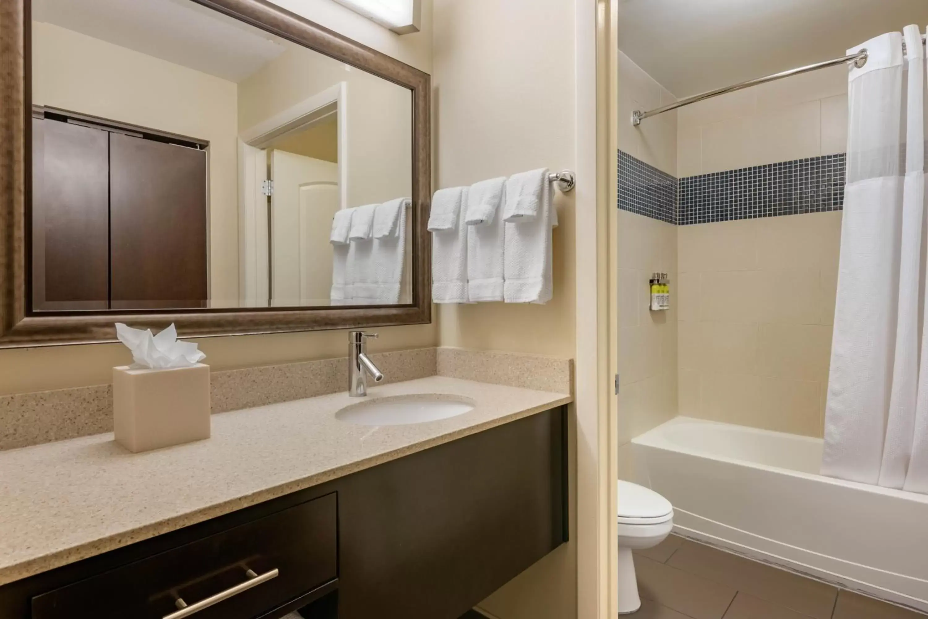Bathroom in Staybridge Suites St. Petersburg FL, an IHG Hotel