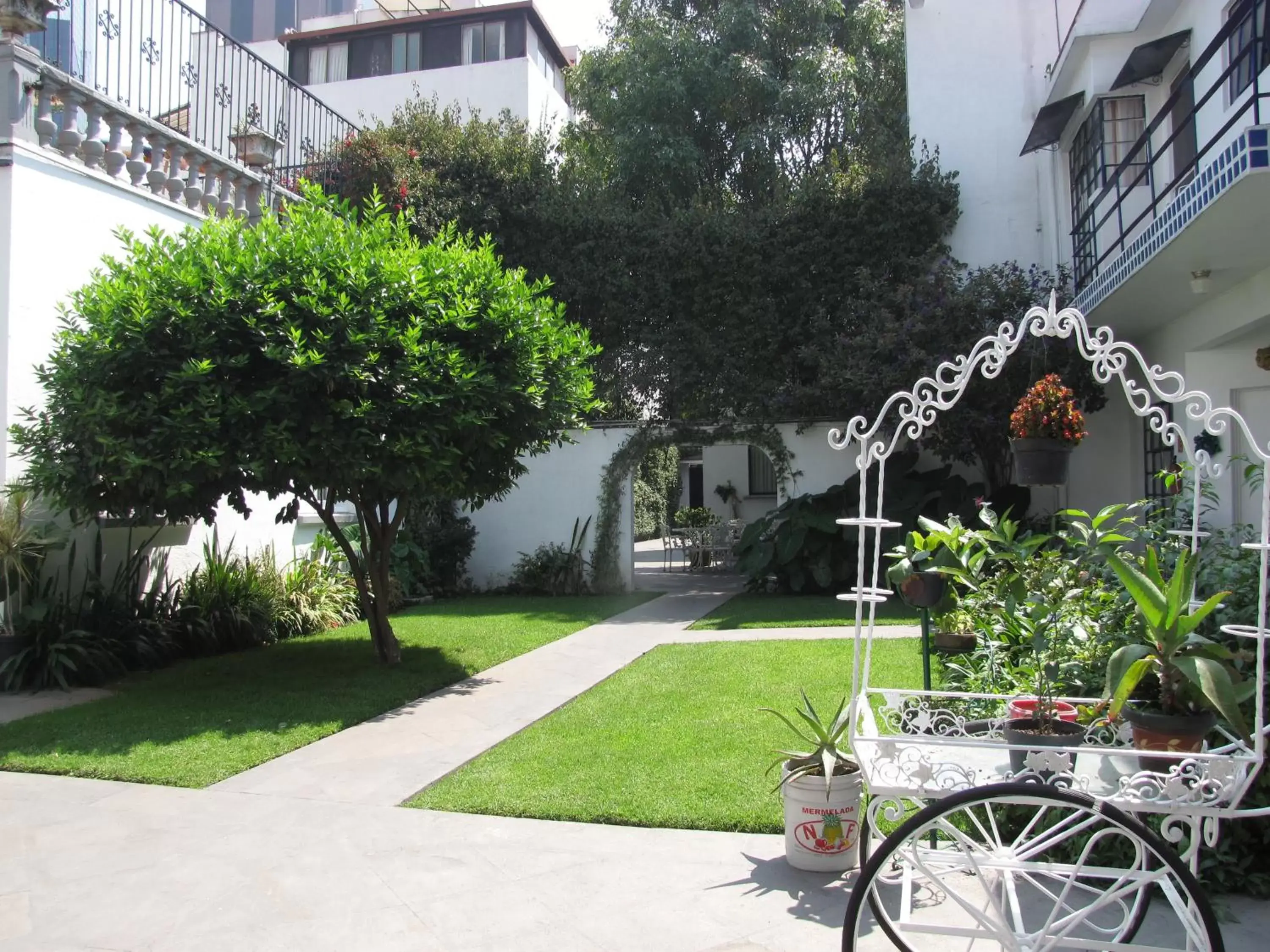 Garden in Hotel Casa Gonzalez