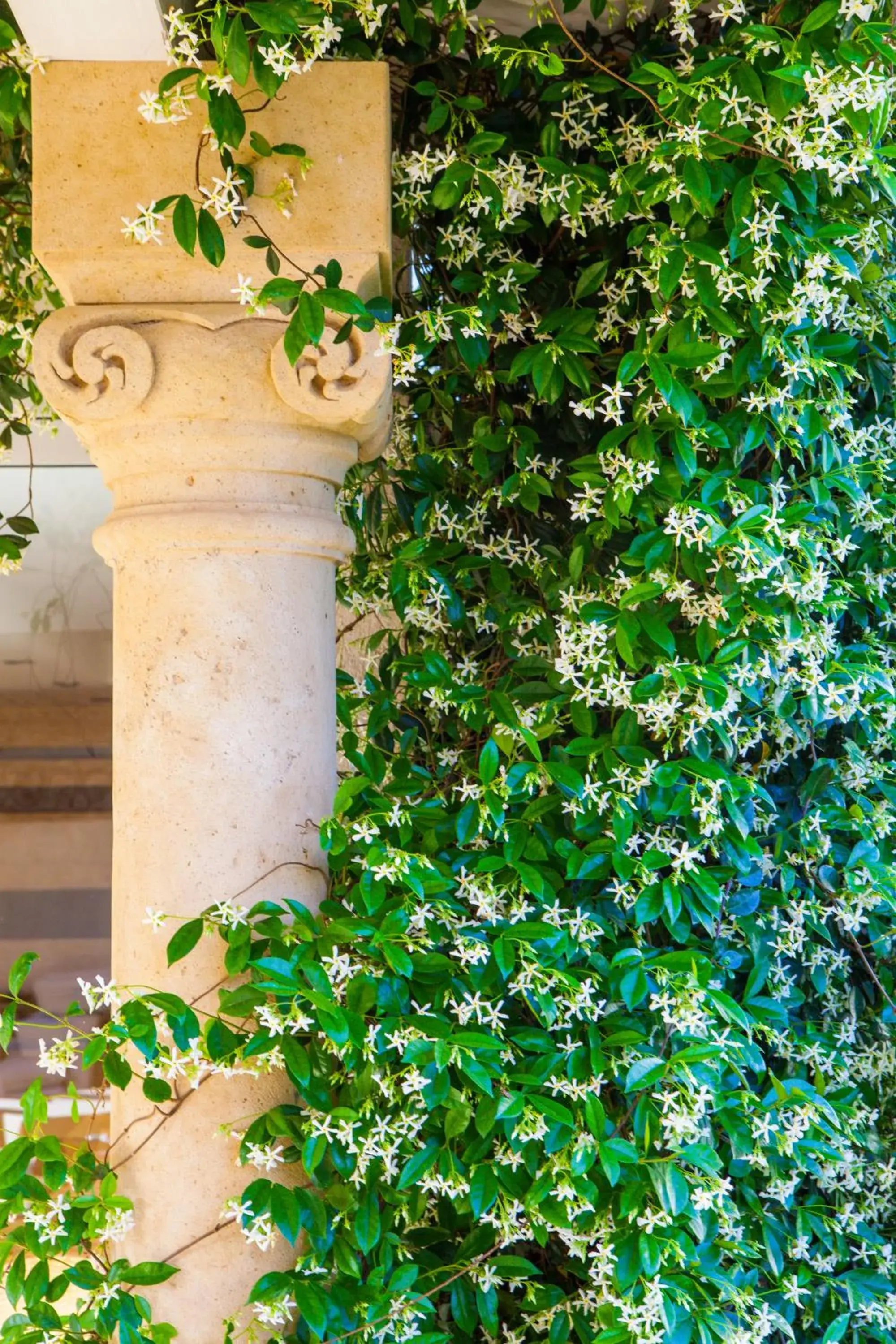 Garden in Tartheshotel