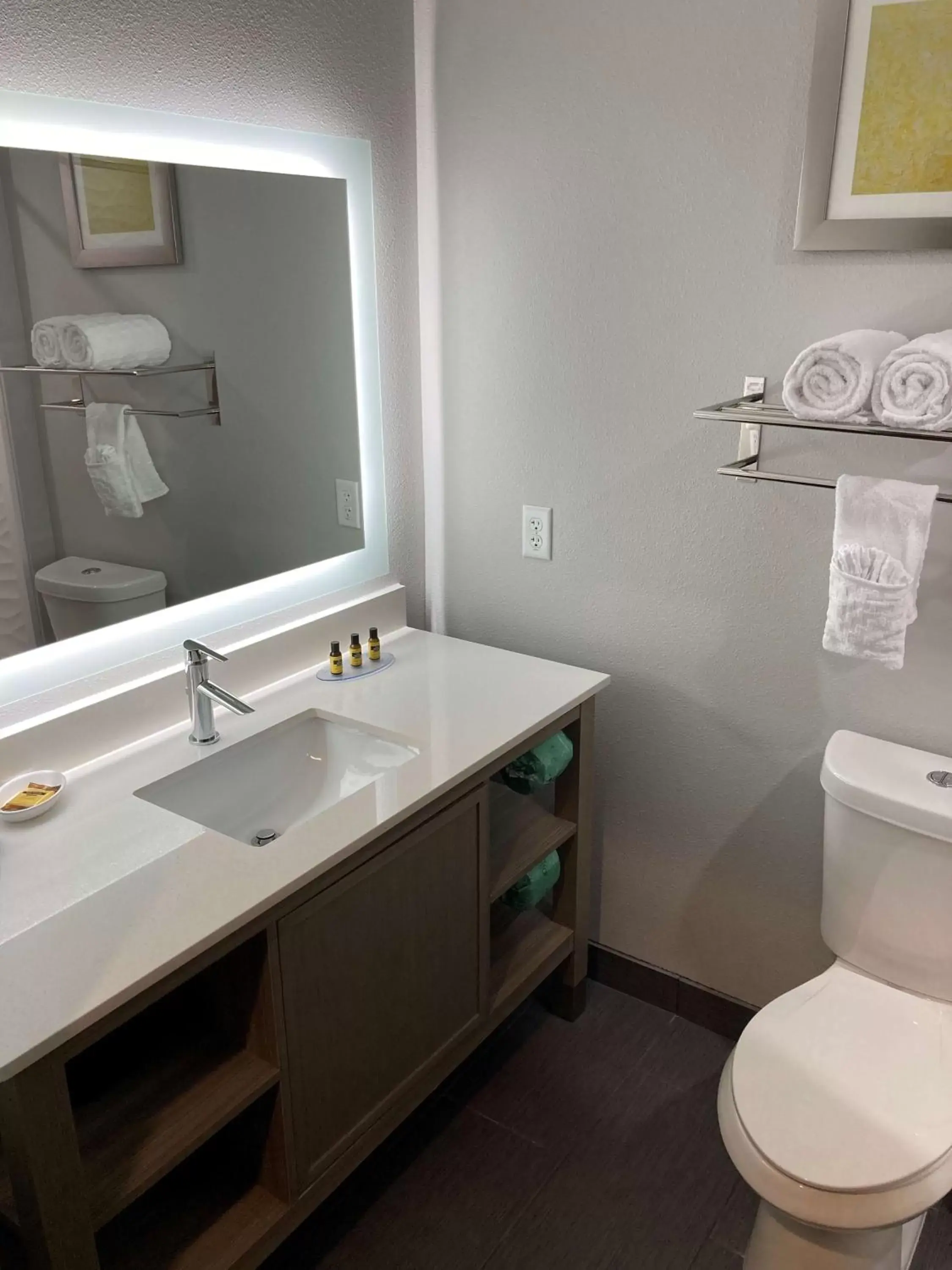 Toilet, Bathroom in Best Western Plus Mid County