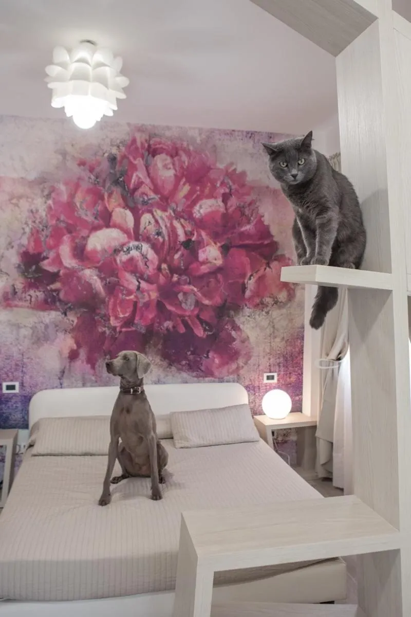 Bed in Hotel Principe SNC di Paloschi Valentina e Giulia