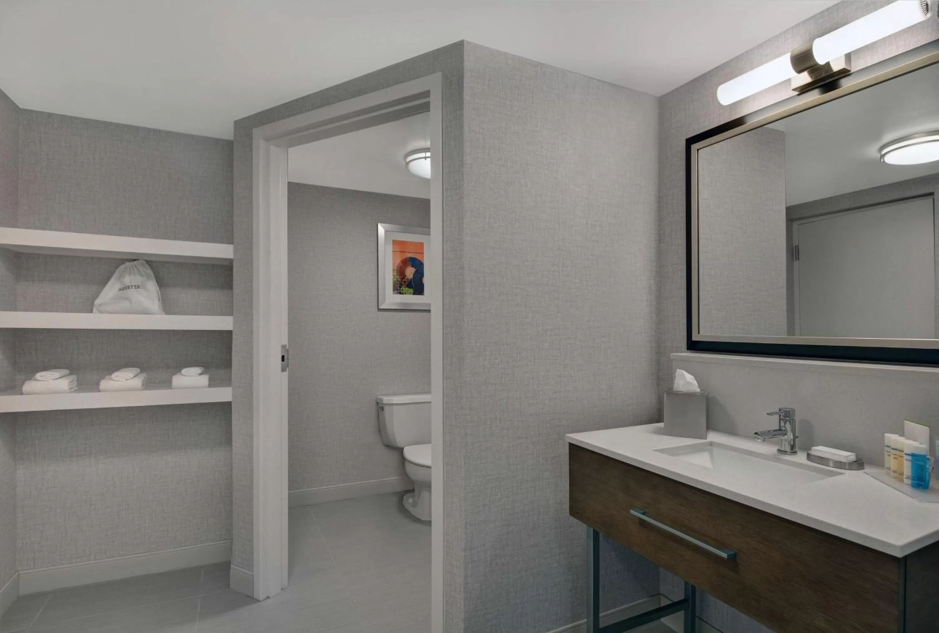 Bathroom in Hampton Inn Gallatin