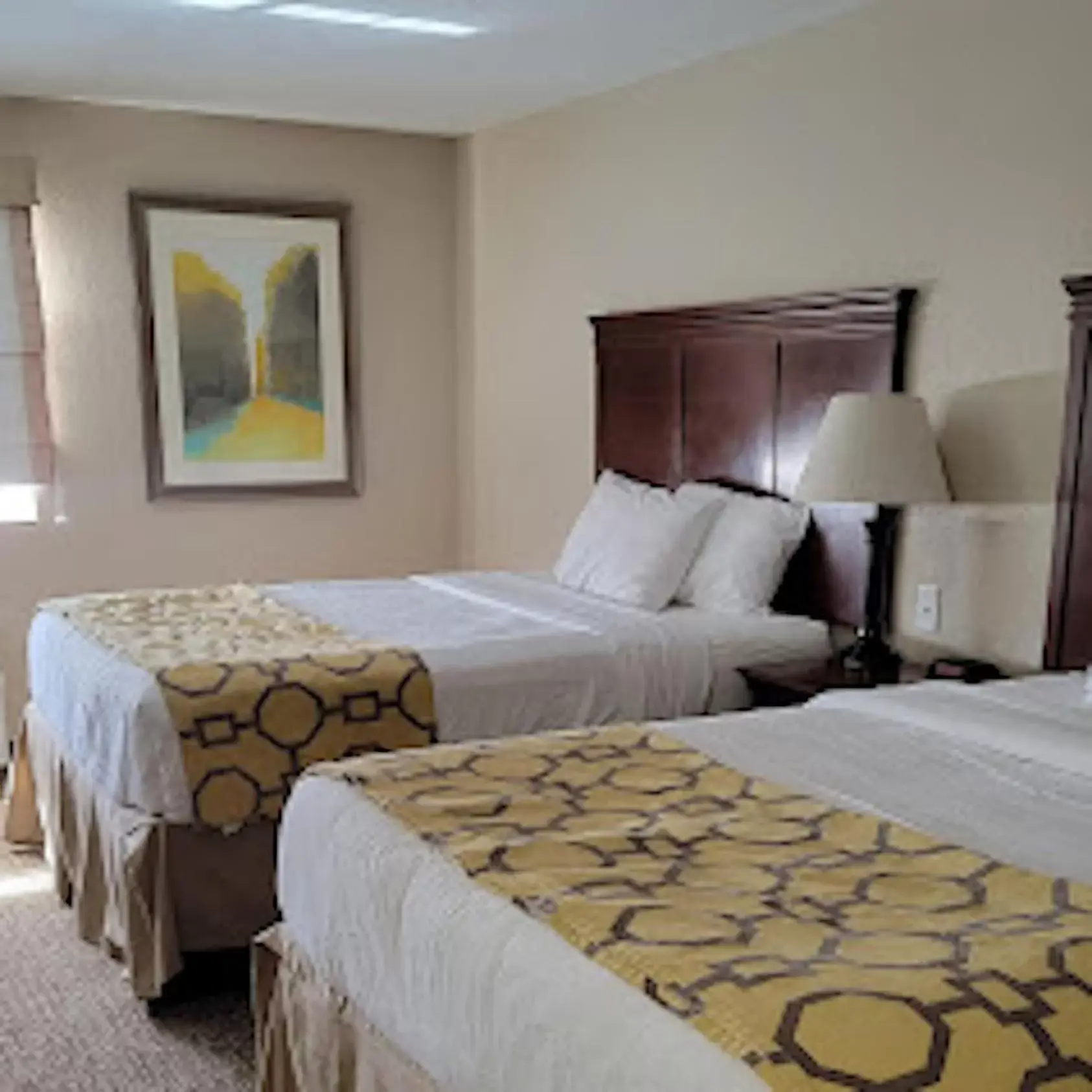 Bed in Baymont Inn & Suites by Wyndham Odessa