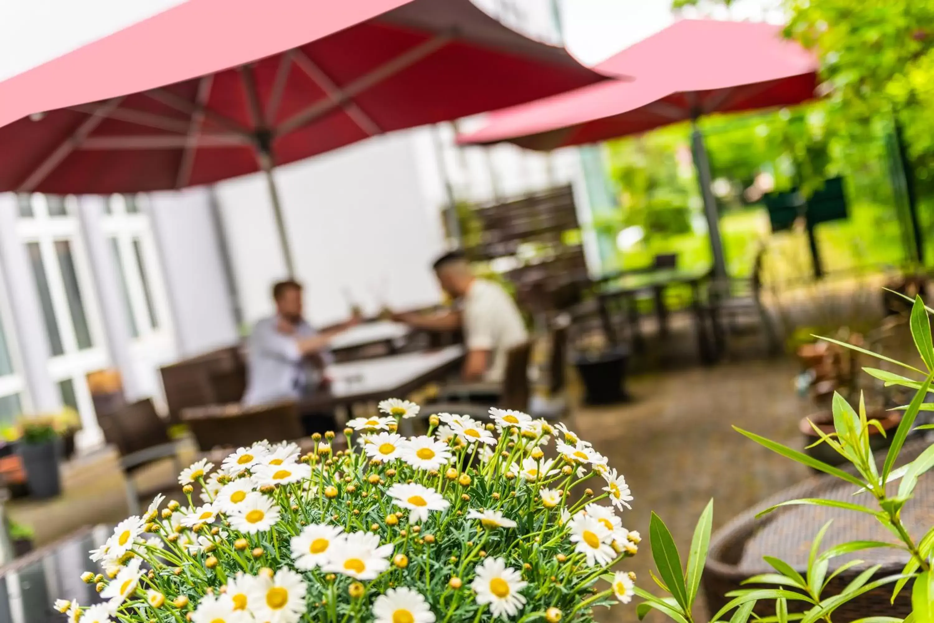 Balcony/Terrace, Restaurant/Places to Eat in ibis Hotel Regensburg City