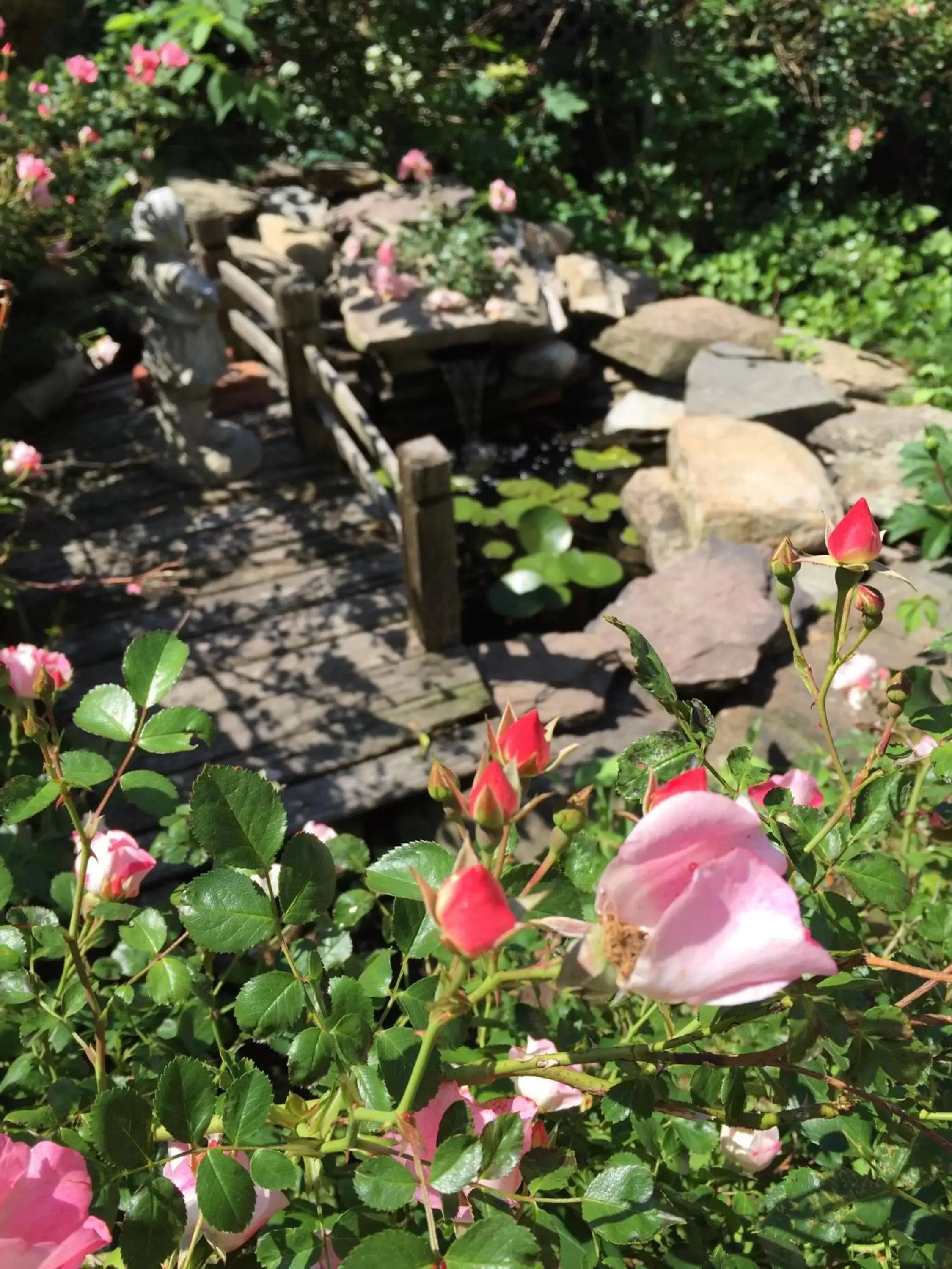 Patio in Clark Currier Inn