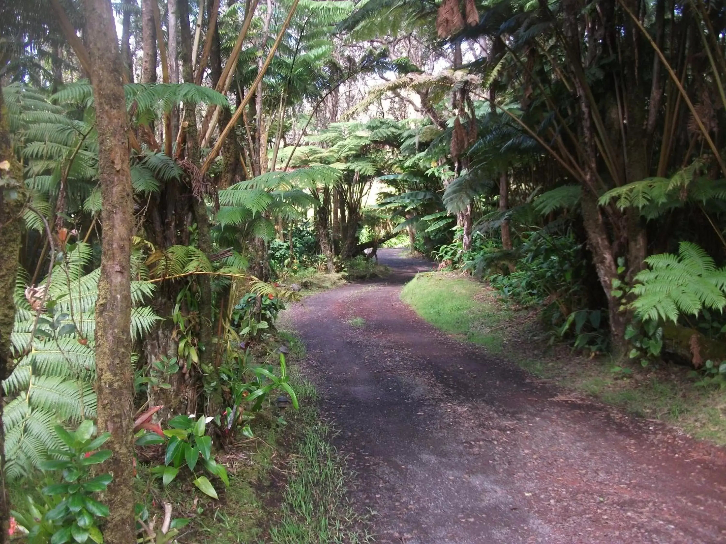 Day in Aloha Crater Lodge