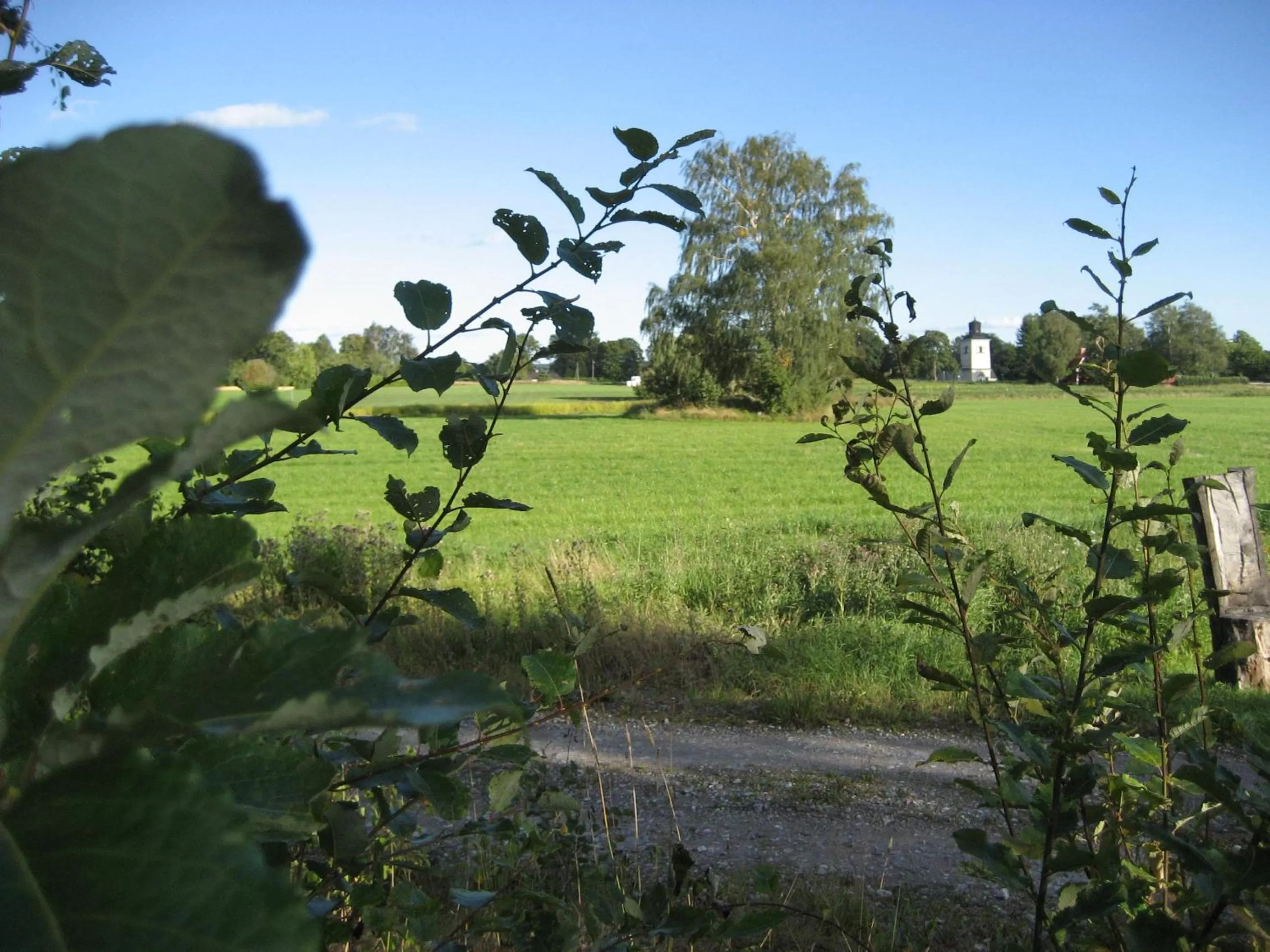 Garden view in Woodstock B & B Studios