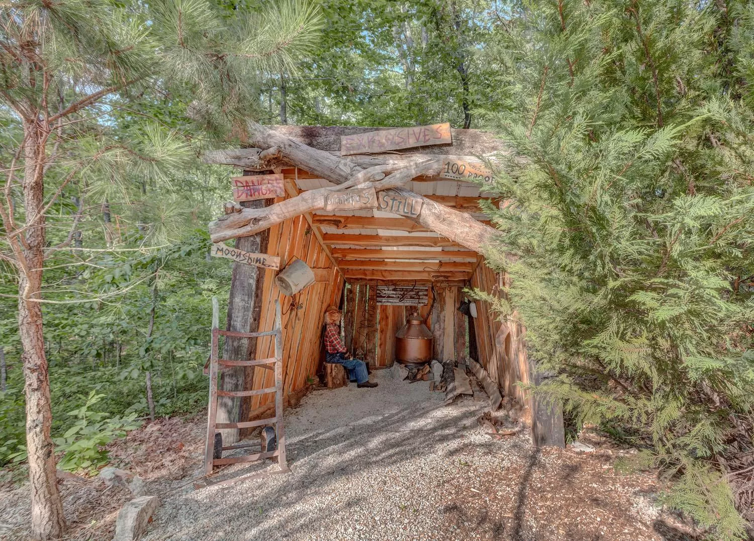 Natural landscape in Fox Pass Cabins