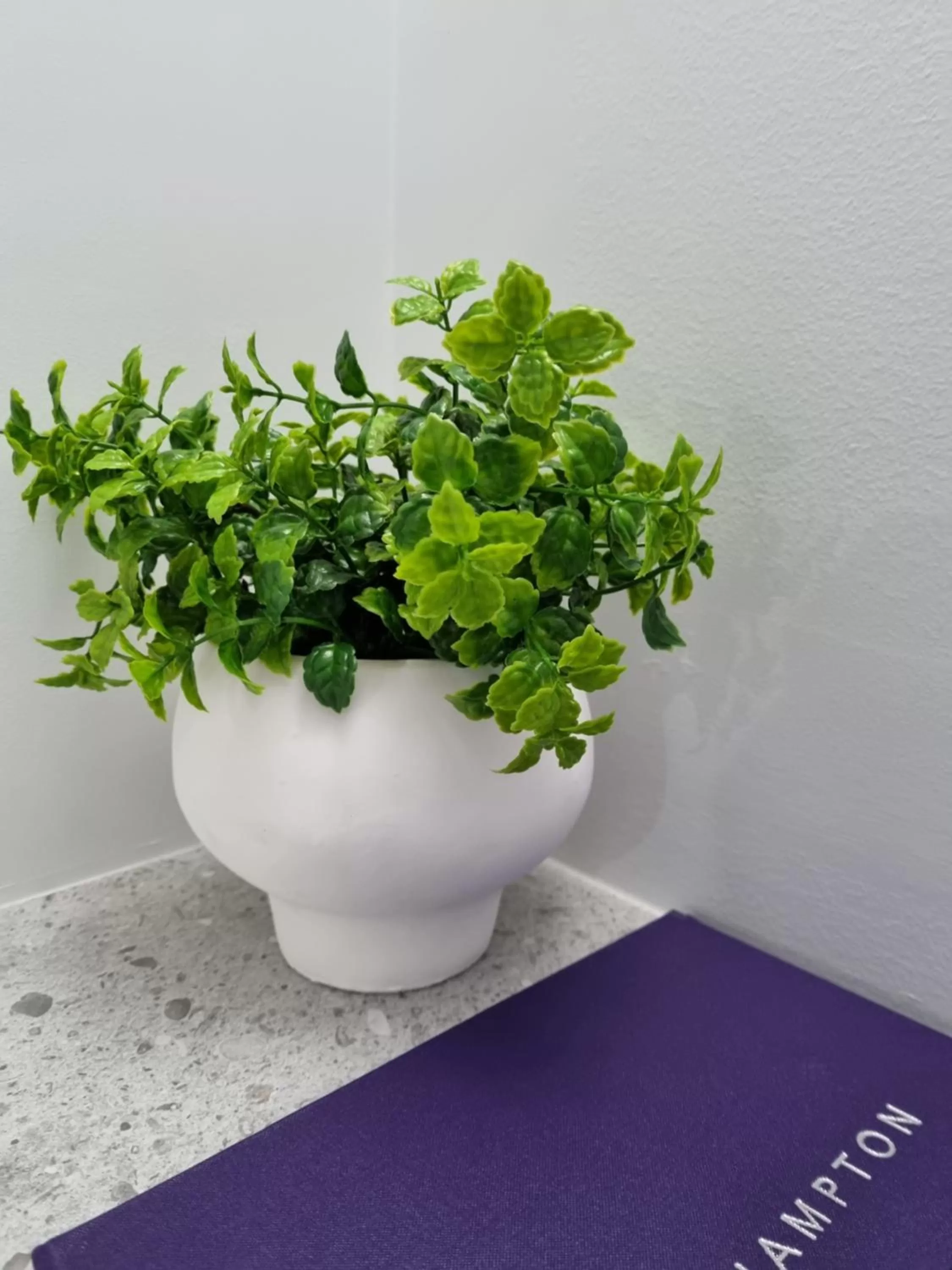 Decorative detail in Rockhampton Serviced Apartments